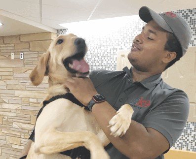Warren Weekly: Van Dyke schools welcome K9 teams
