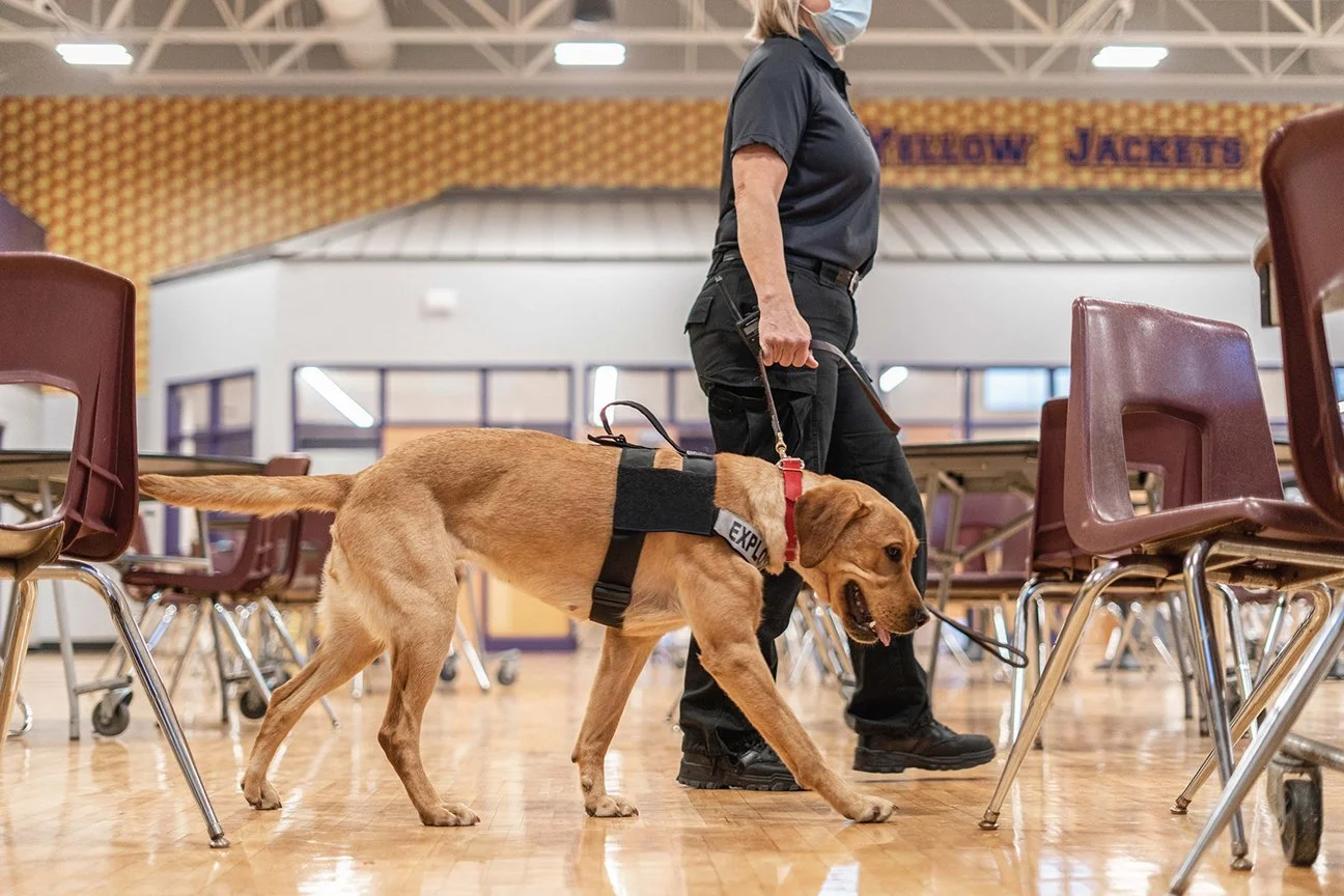 DBusiness: Zebra K9 in Holly Expands Use of Firearm Safety Dogs