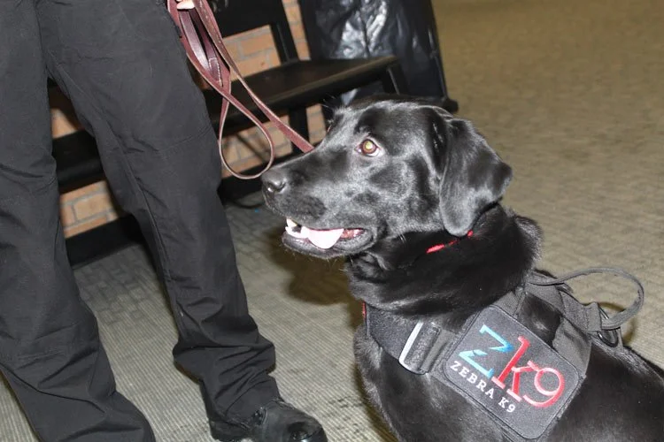 The St. Ignace News: Meet Nova The New Safety Dog at St. Ignace Area Schools