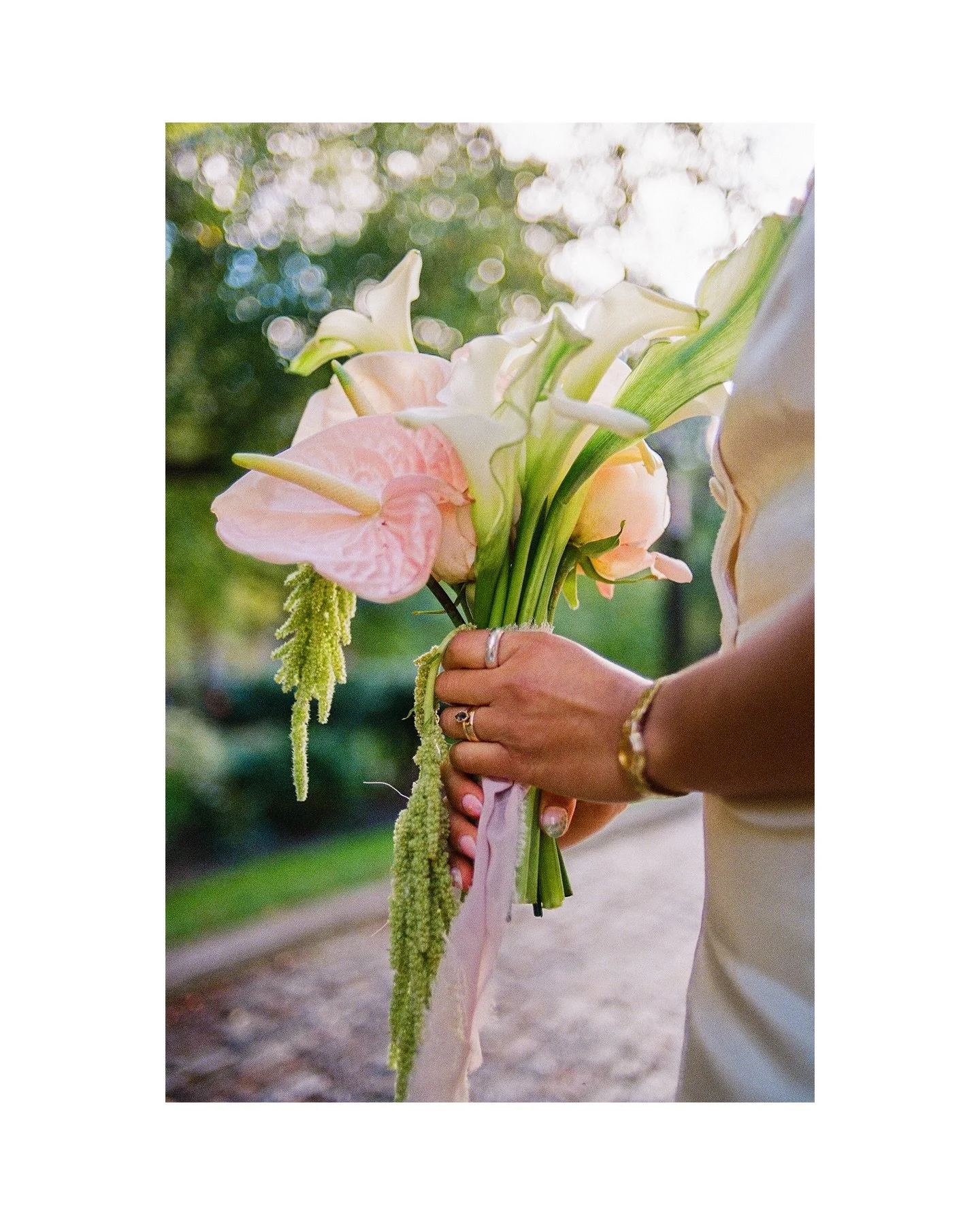 Weddings are made of personalities you never want to forget. Some weddings are elegant. Some are traditional.
And some are fun, playful, outgoing, and grabbing hot dogs together in wedding clothes. Film makes moments like this feel nostalgic, honest,