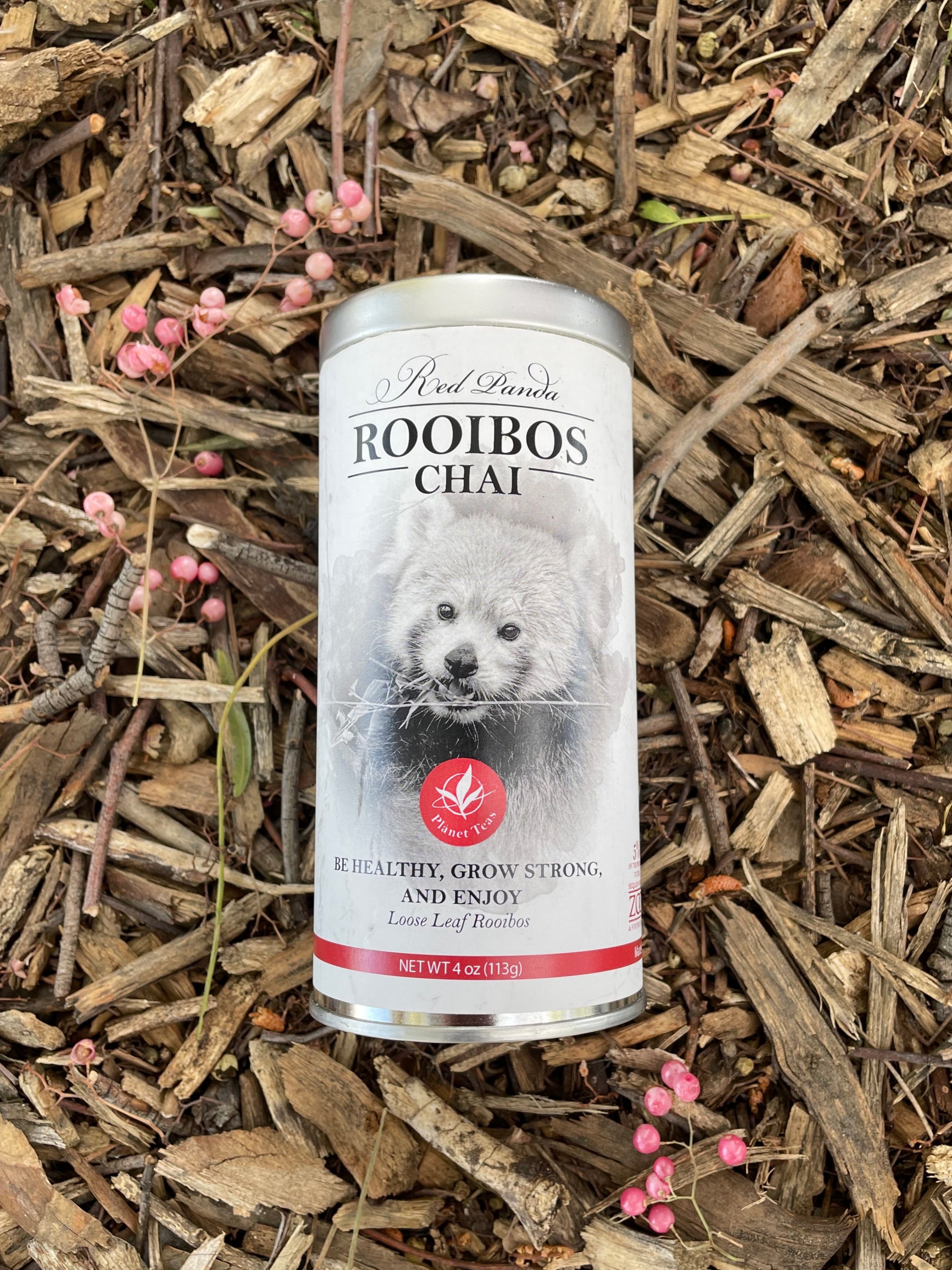 Red Panda Rooibos Chai