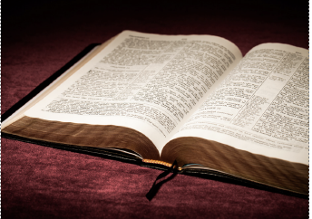 Training in Spanish: Proclaimer of the Word