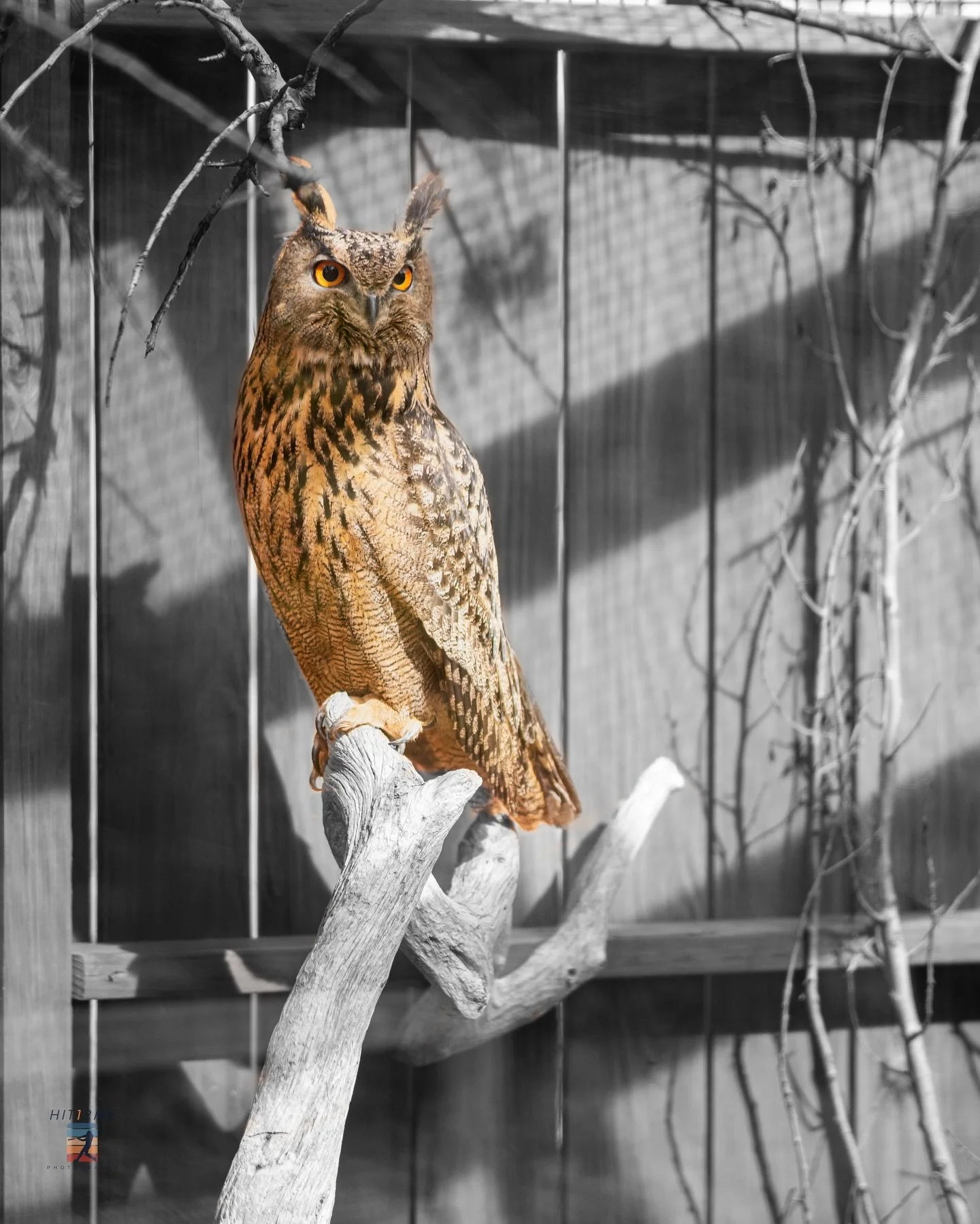 Just a random photo from our time in South Dakota.  Taken to our trip to #reptilegardens #sonya1 #sonyalpha