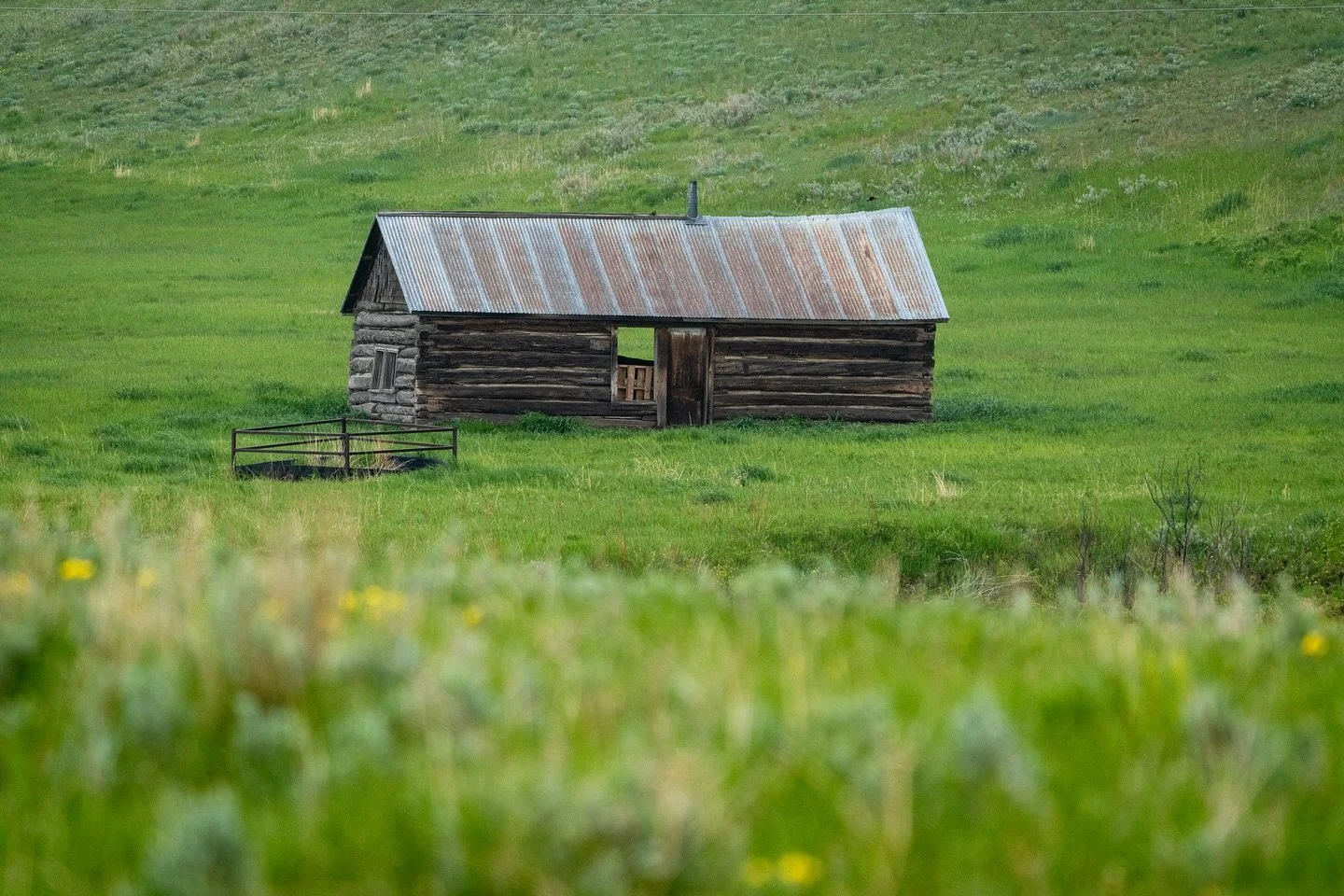 Too windy and rainy to fish today so Dave and I took photos instead