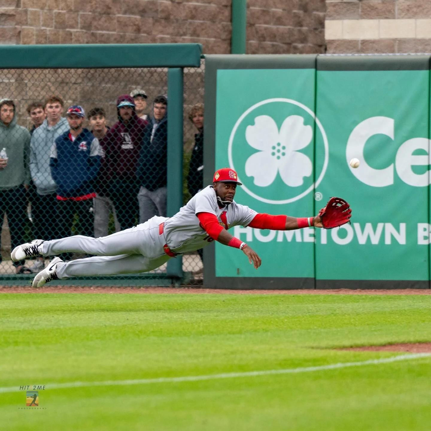 During the #stlcardinals vs #springfieldcardinals game last night, I captured @j.walk17 at full extension.  It was a great hustle play that came up just short as the ball fell just of the edge of his glove.  Before the game I got a few shots of him i