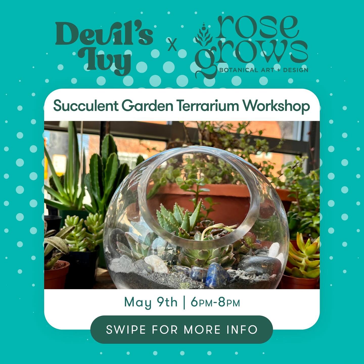 Join @devils_ivy_denver and @_rosegrows_ Thursday, May 9th to unleash your creativity in our hands-on Succulent Garden Terrarium Workshop!

In this immersive class, you&rsquo;ll learn the art of terrarium design, from selecting the perfect succulents