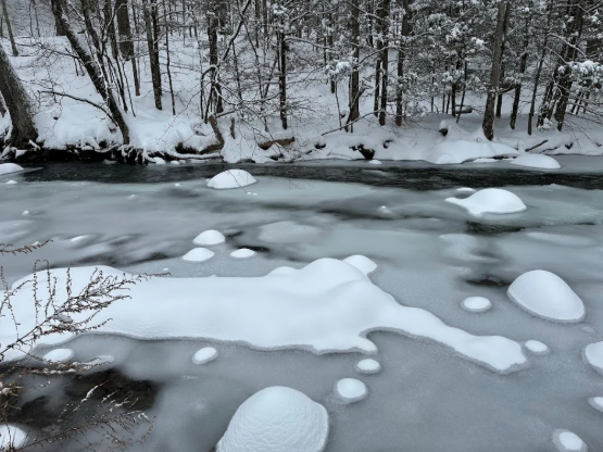 Divine Insights: January 2026 🌟