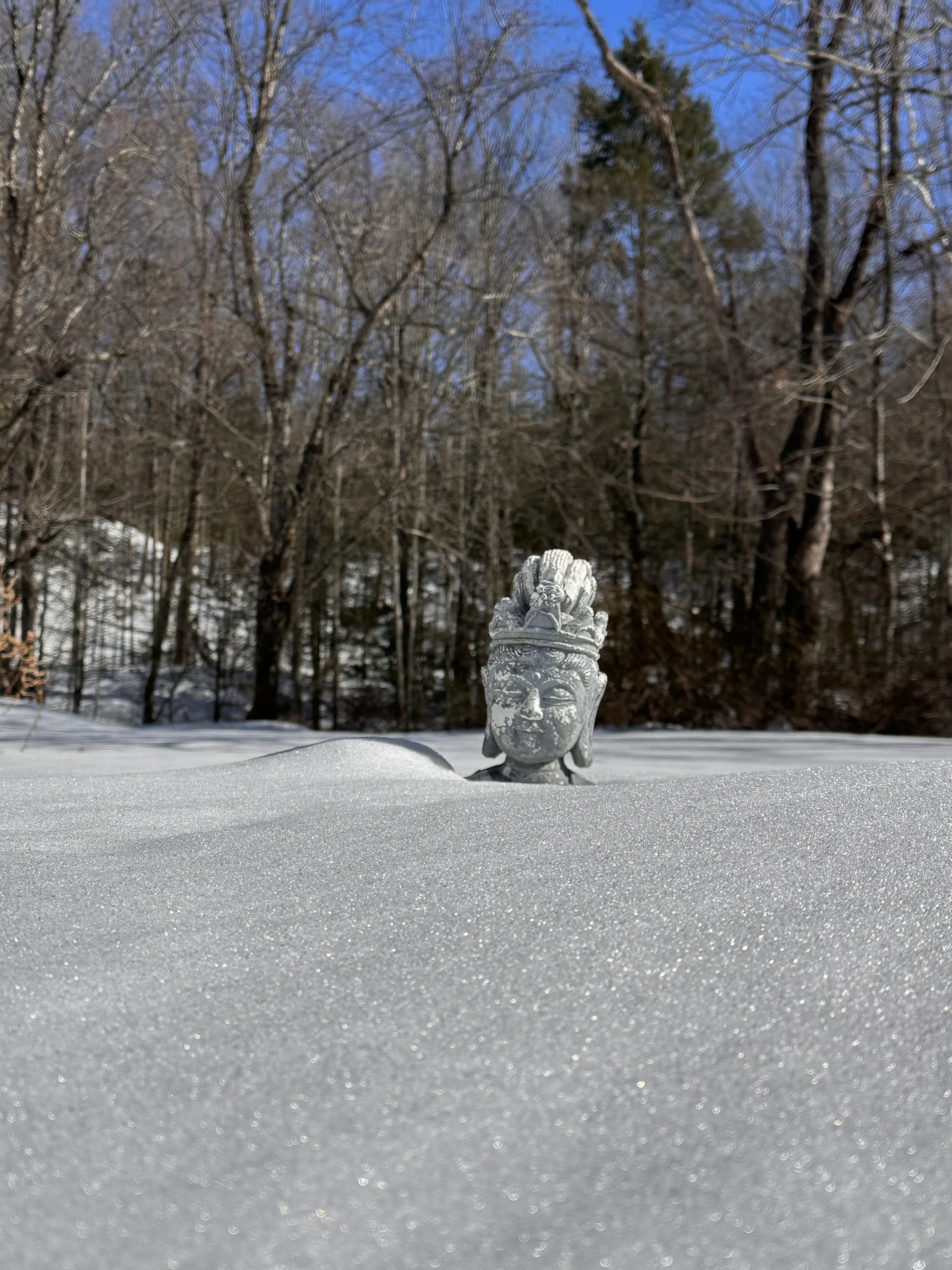 DAM Insights✨Mar 2026