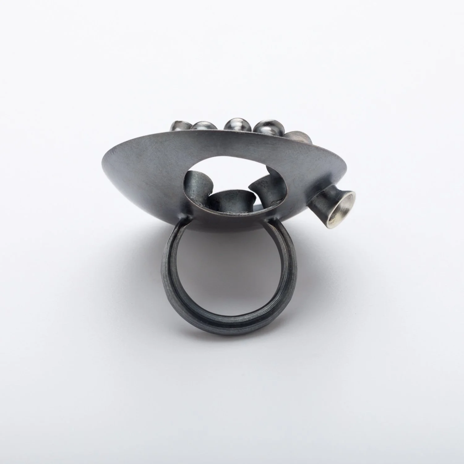 Saucy Succulent 3.jpg