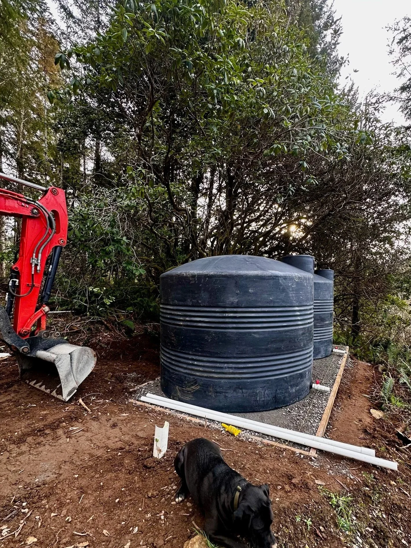 BUILDING A PAD FOR, SETTING + PLUMBING HOLDING TANKS