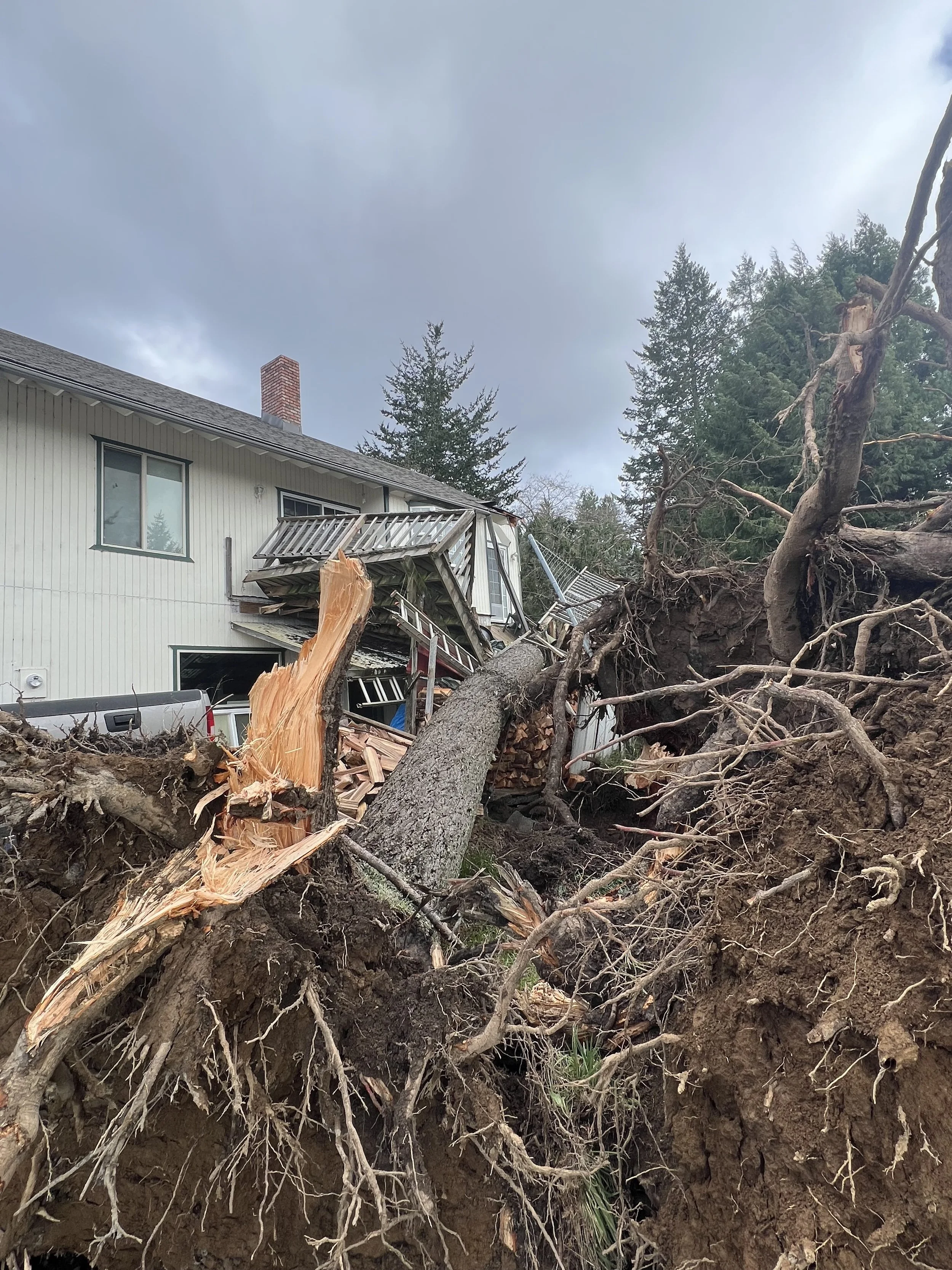 STORM CLEAN UP 2.jpg