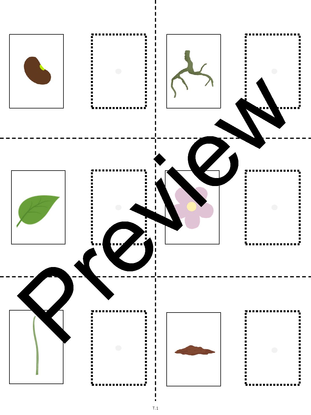 Plants_s_p_Page_67.png