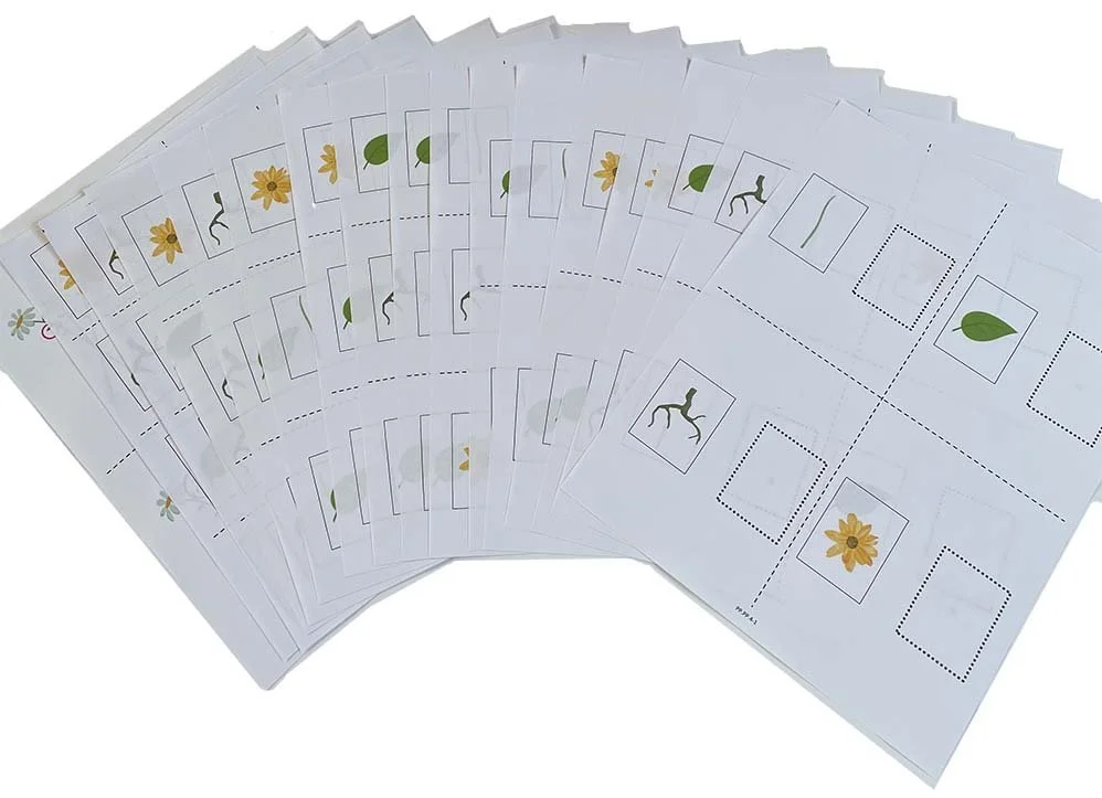 a series of worksheet inserts on display
