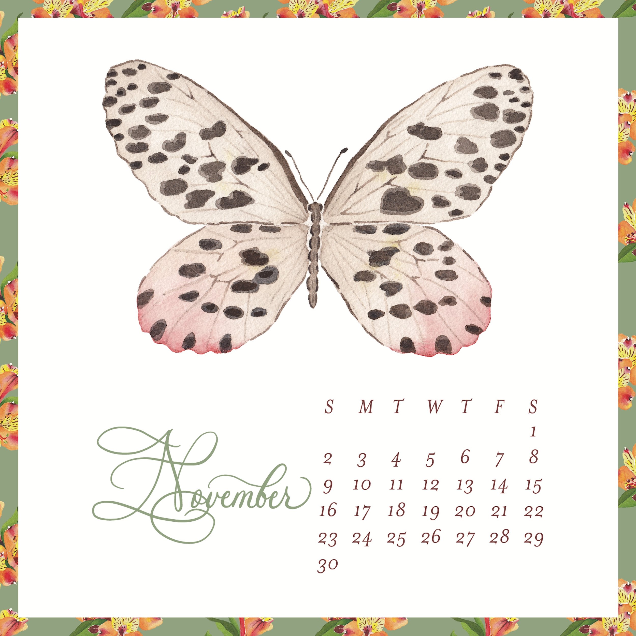Butterfly November.jpg