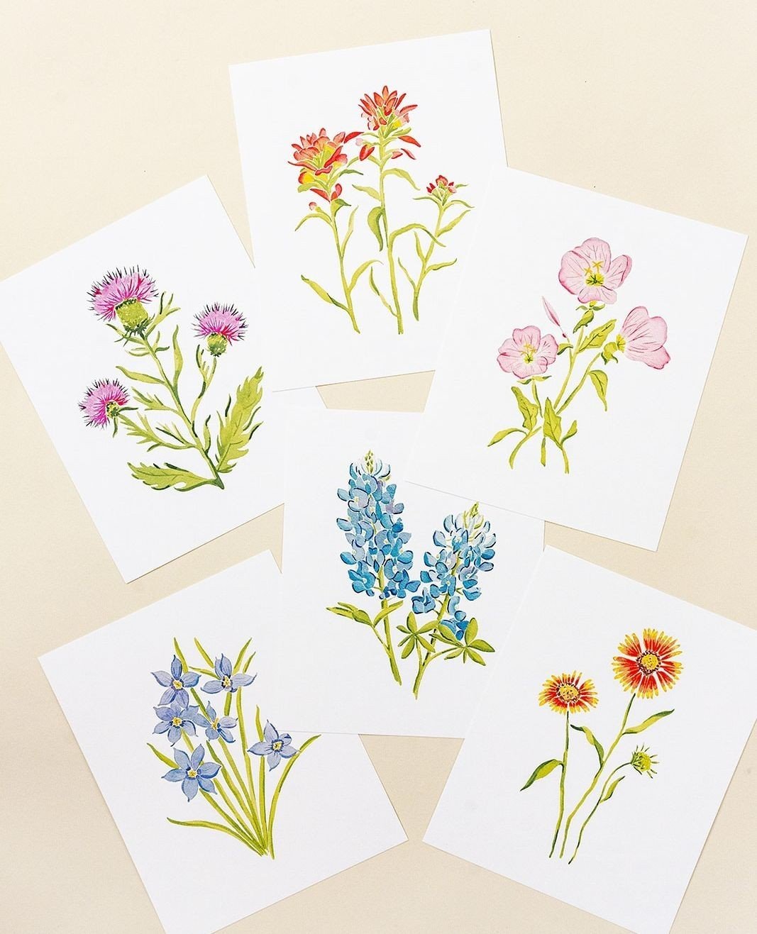 Immerse yourself in the vibrant world of Texas wildflowers with these captivating watercolor paintings, waiting just for you! 🌼⁠
⁠
Bring a touch of Texan charm into your home and embrace the vibrant spirit of springtime. Available now online&mdash;c