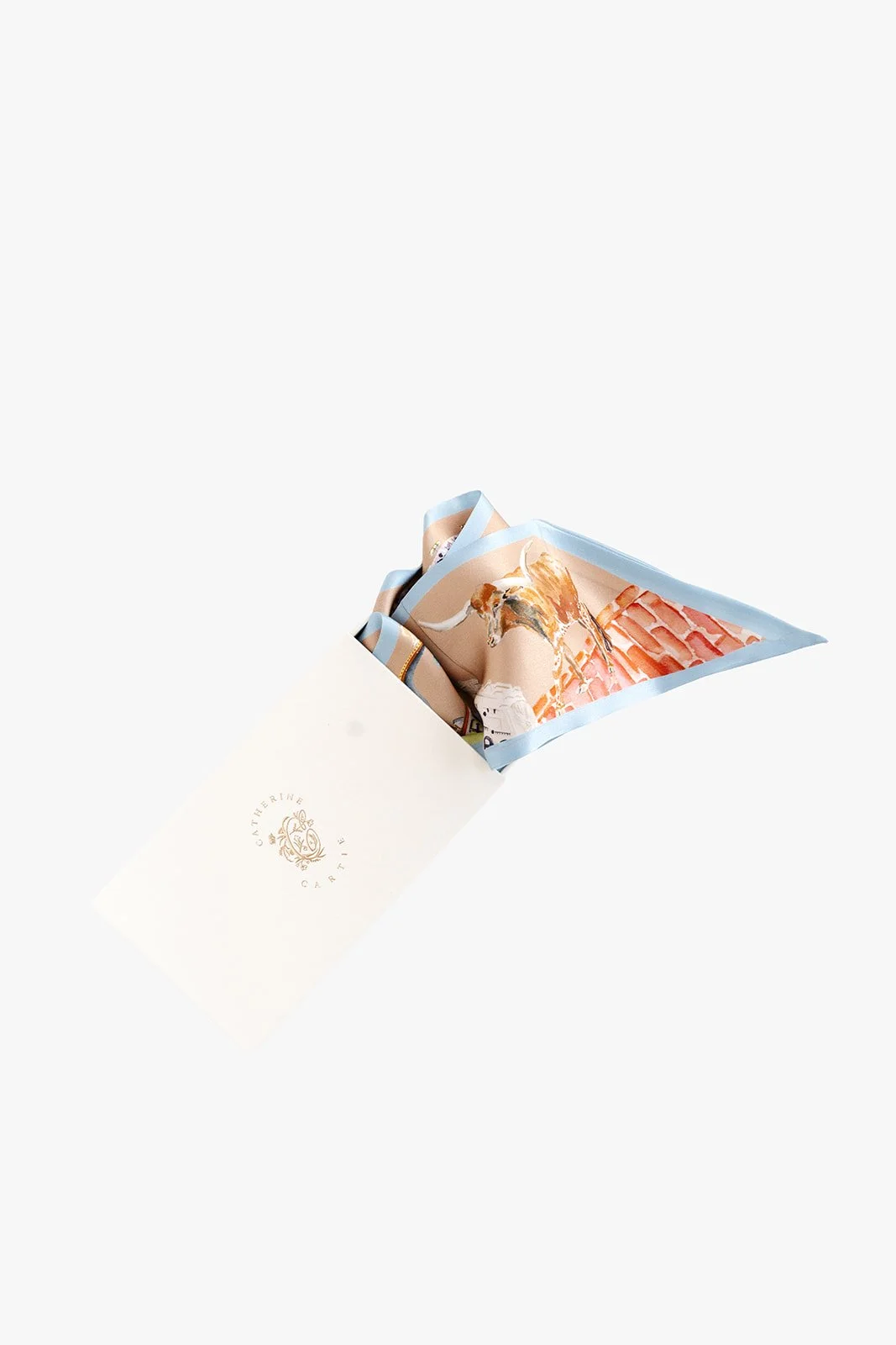 Catherine Cartie Fort Worth Ribbon Scarf 3.jpg