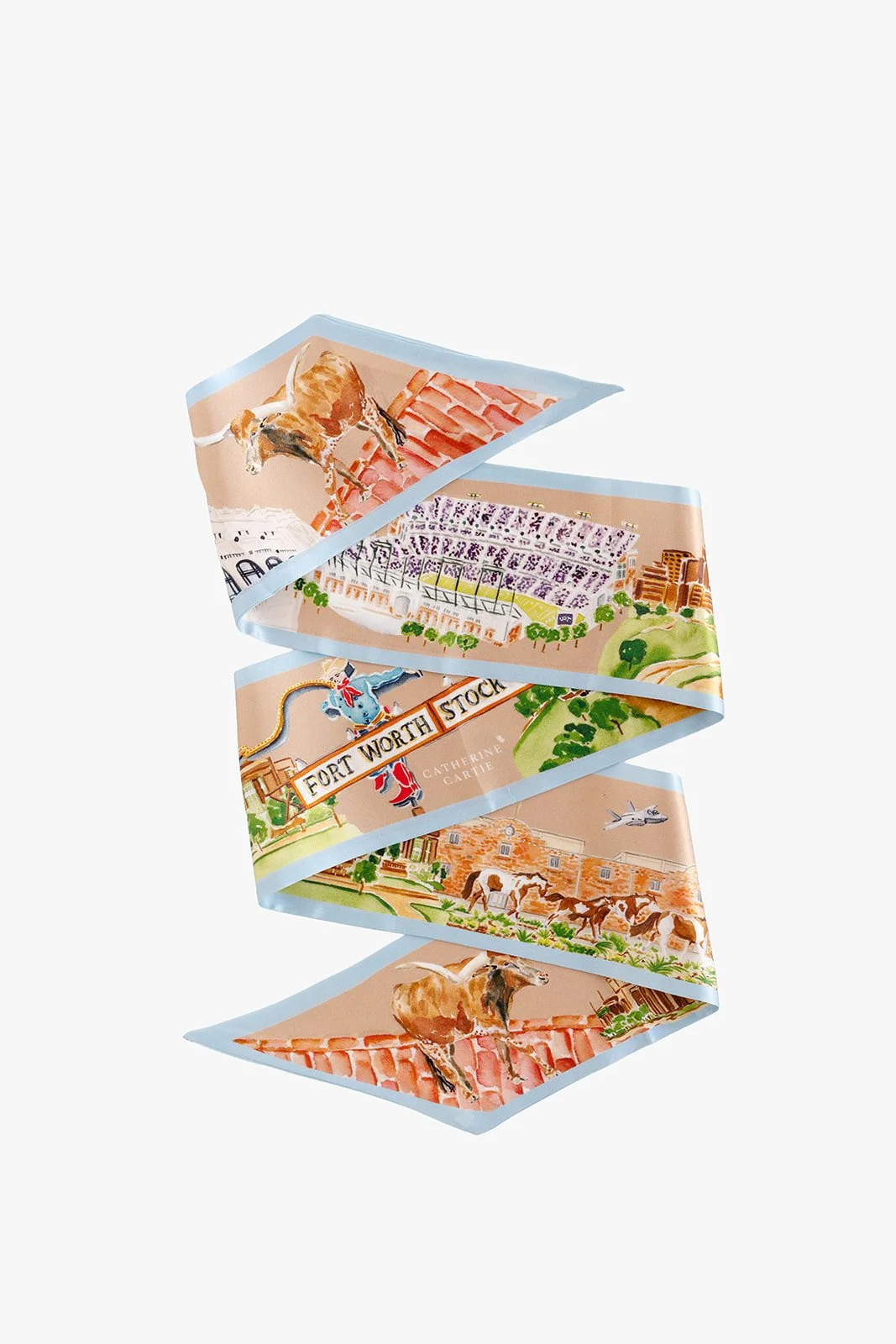 Catherine Cartie Fort Worth Ribbon Scarf.jpg