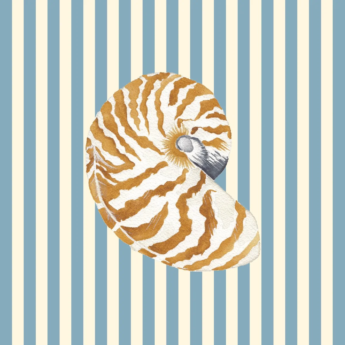 Seashell January back.jpg