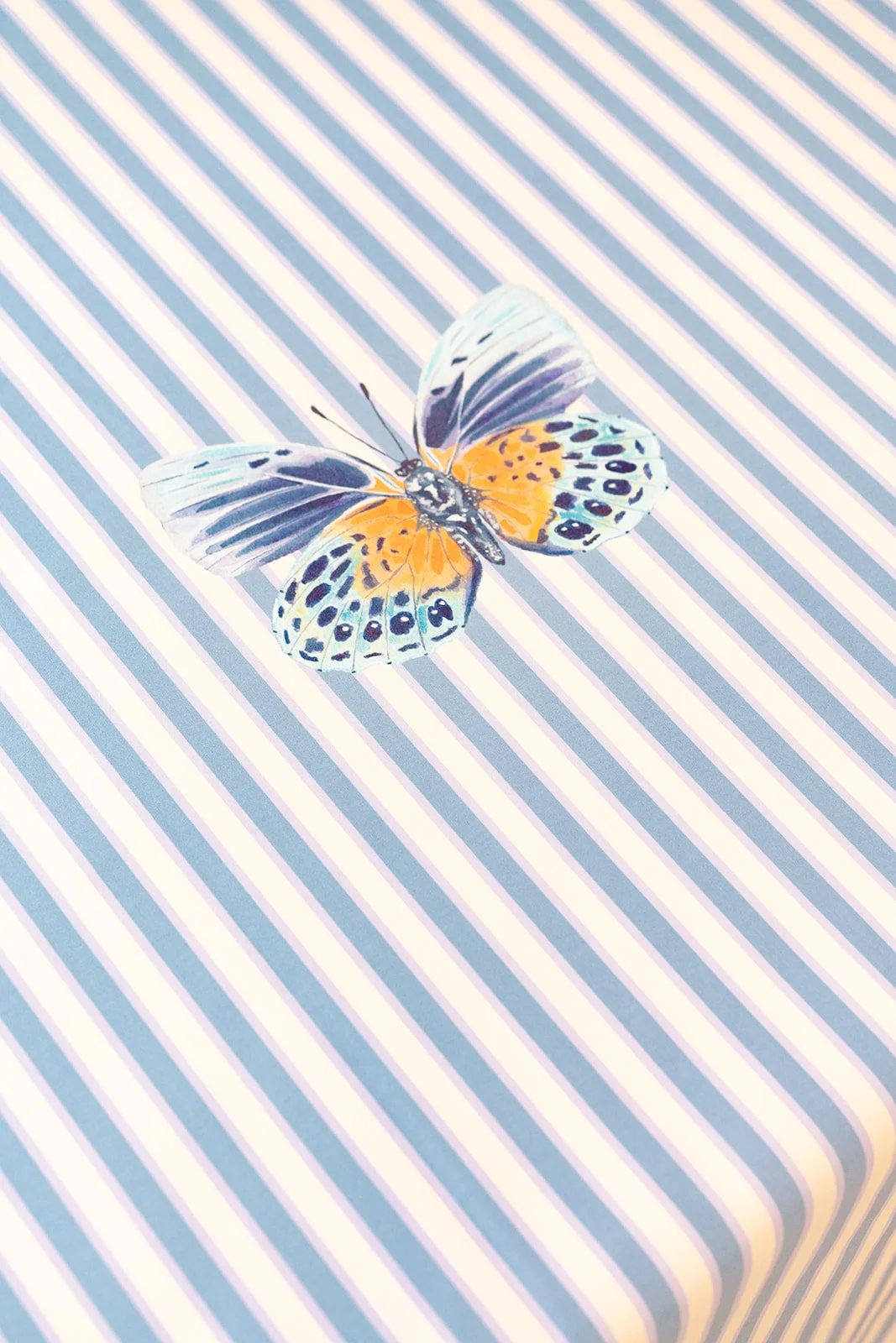 CC_ButterflyTablecloths_25.jpg