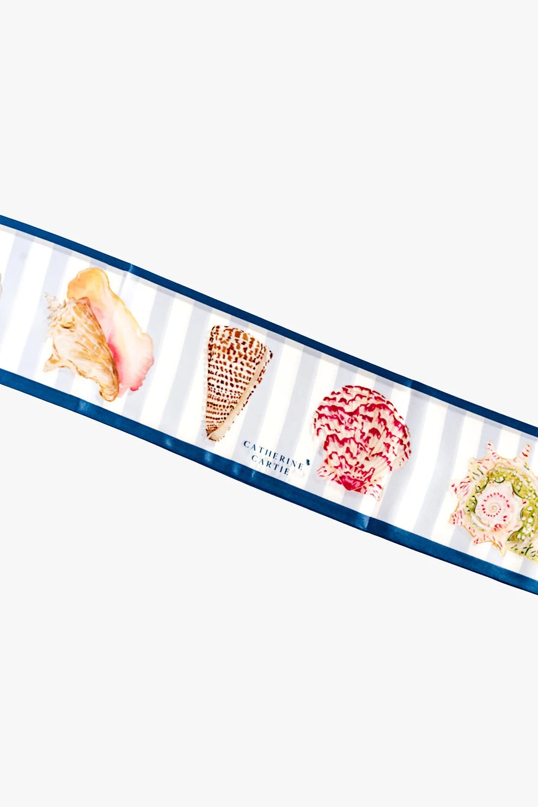 Catherine Cartie Seashells 7.jpg