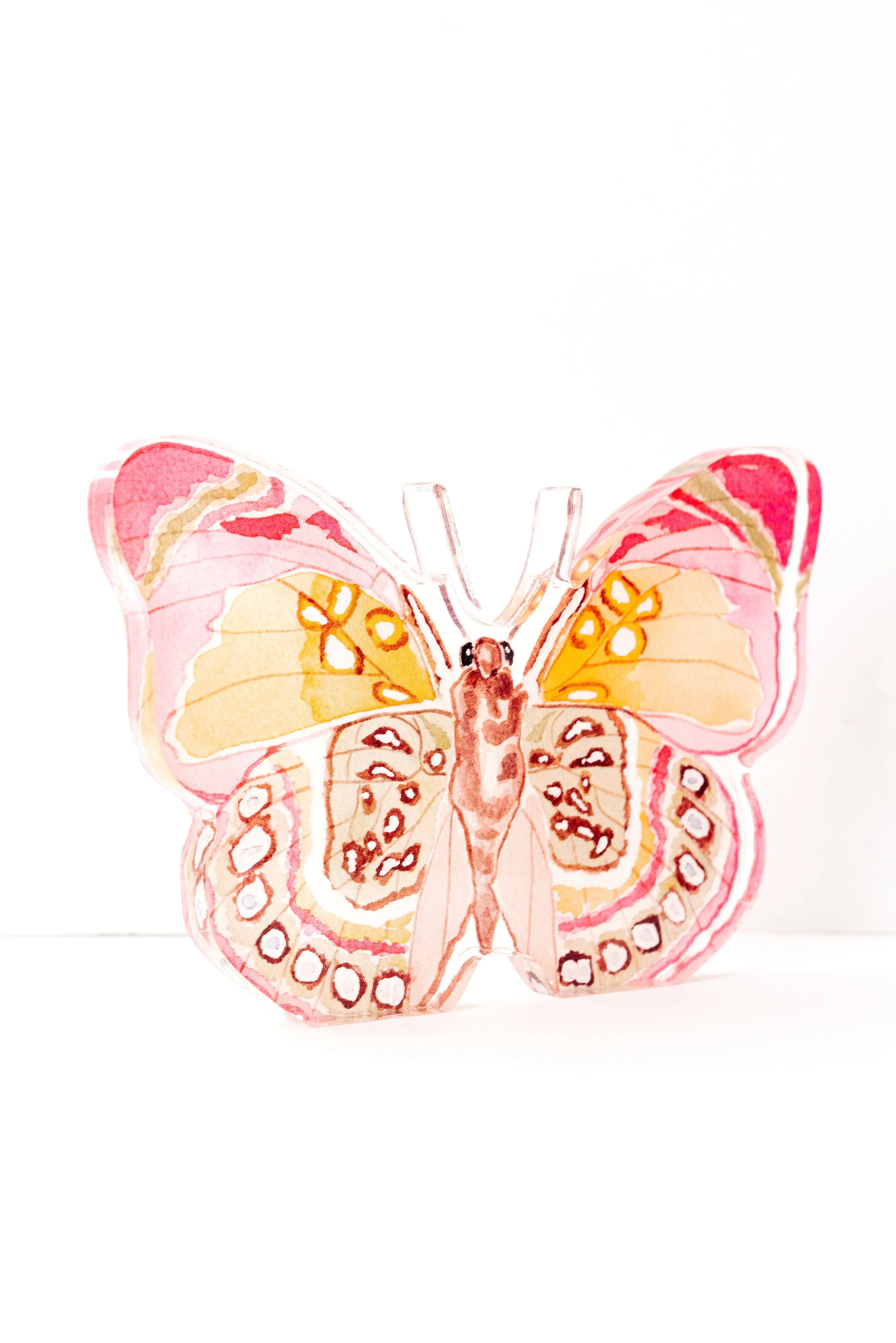 catherine-cartie-acrylic-butterflies-17.jpg