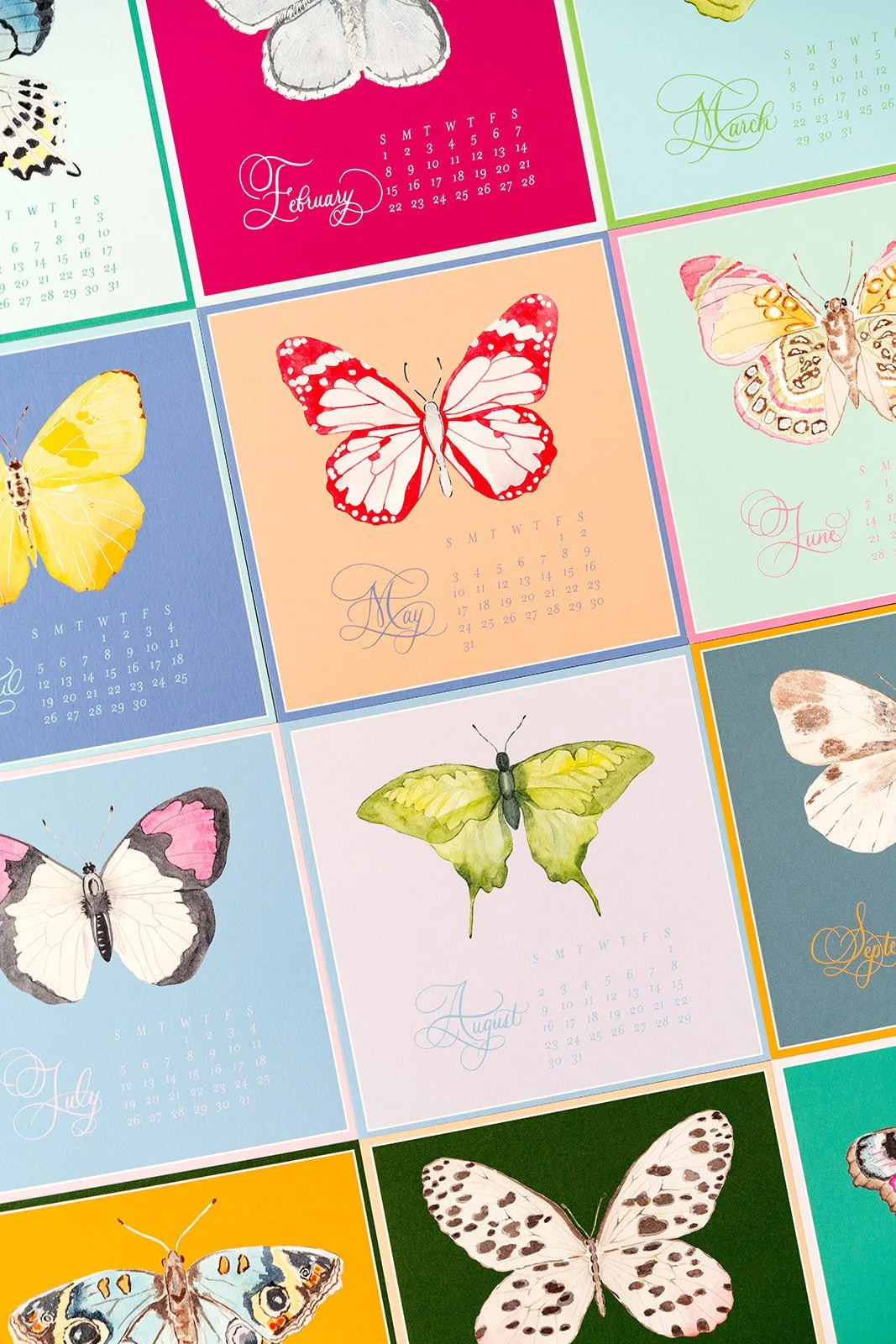 CatherineCartie_2026_Calendars_12.jpg
