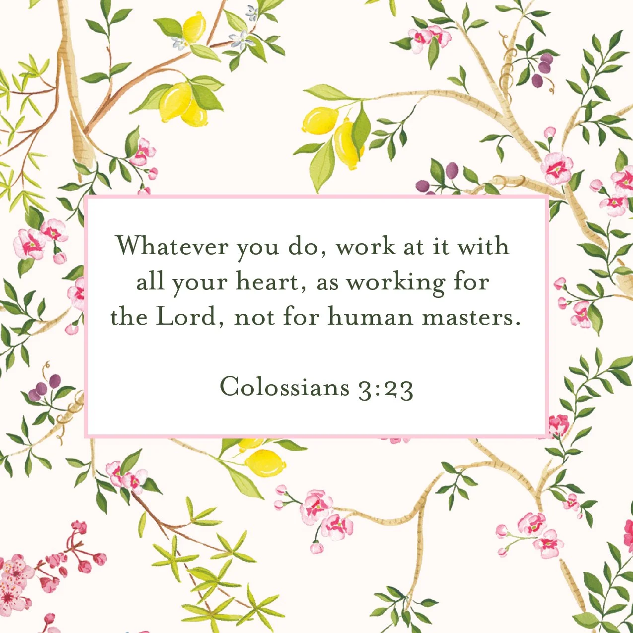 Women Scripture Cards-21.jpg