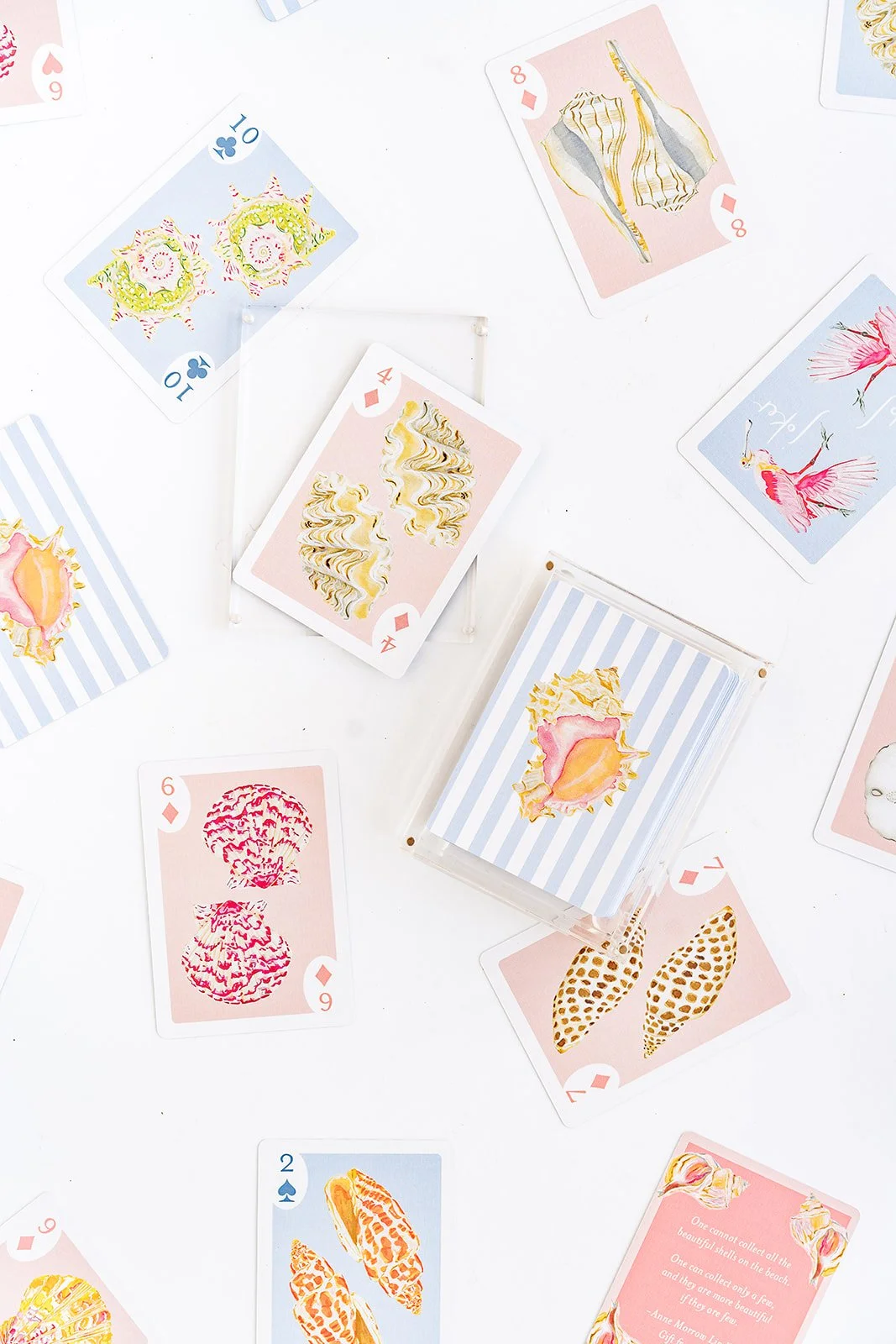 Catherine_Cartie_SeashellCards_06.jpg