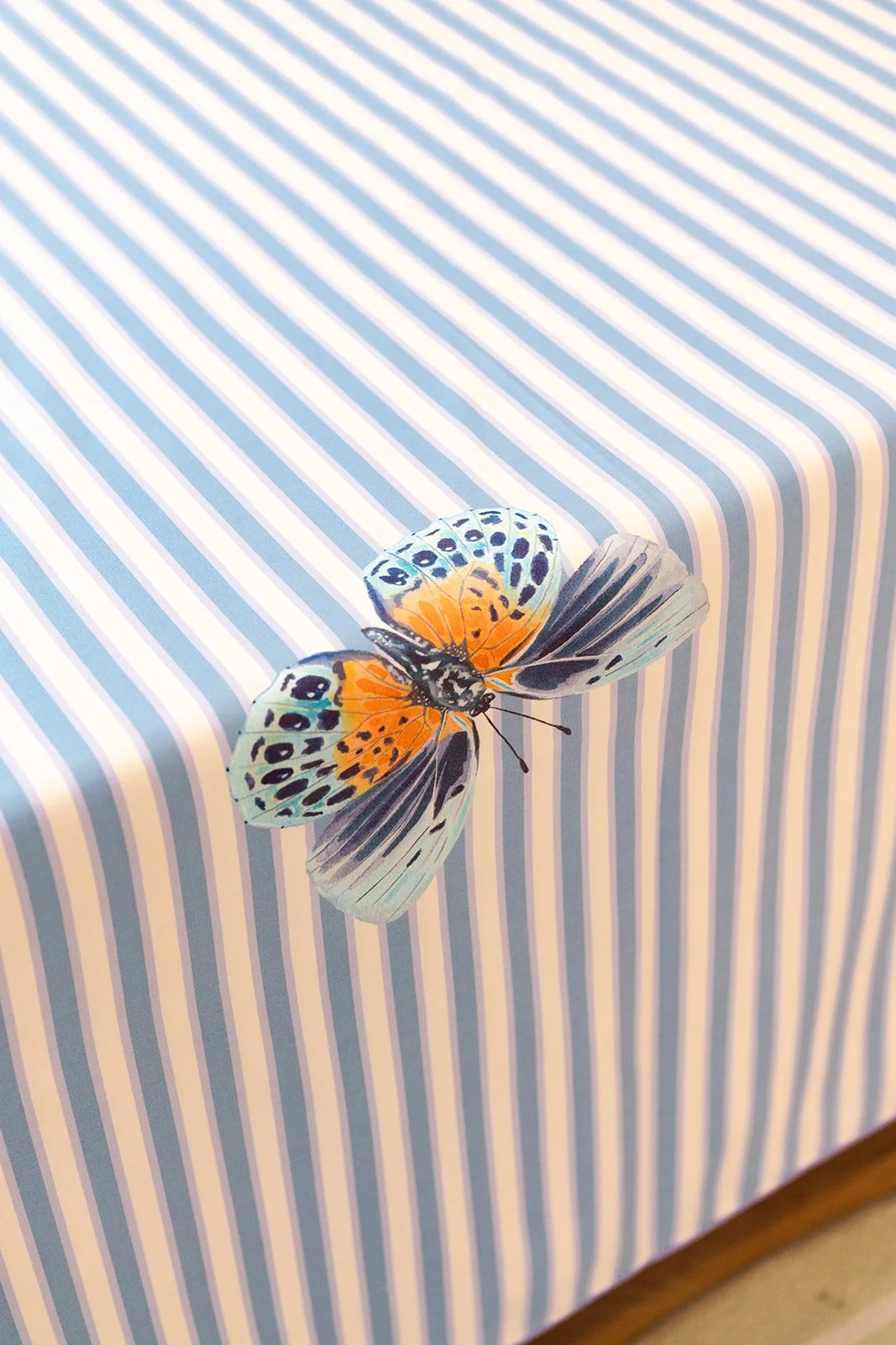 CC_ButterflyTablecloths_24.jpg
