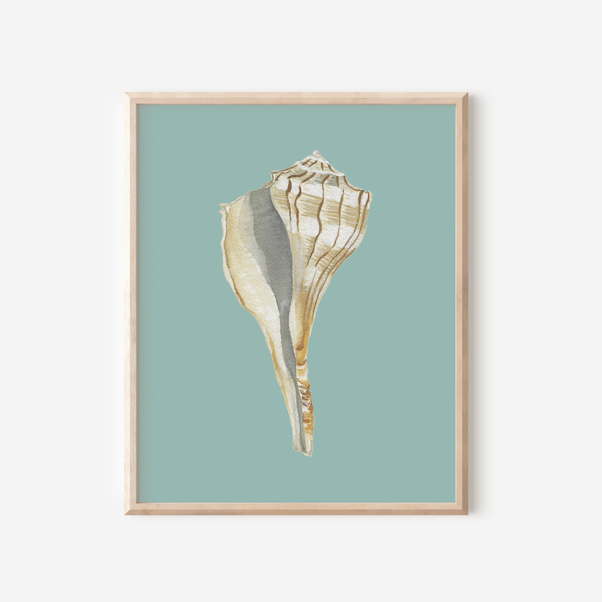 lightening whelk colorful mockup.png