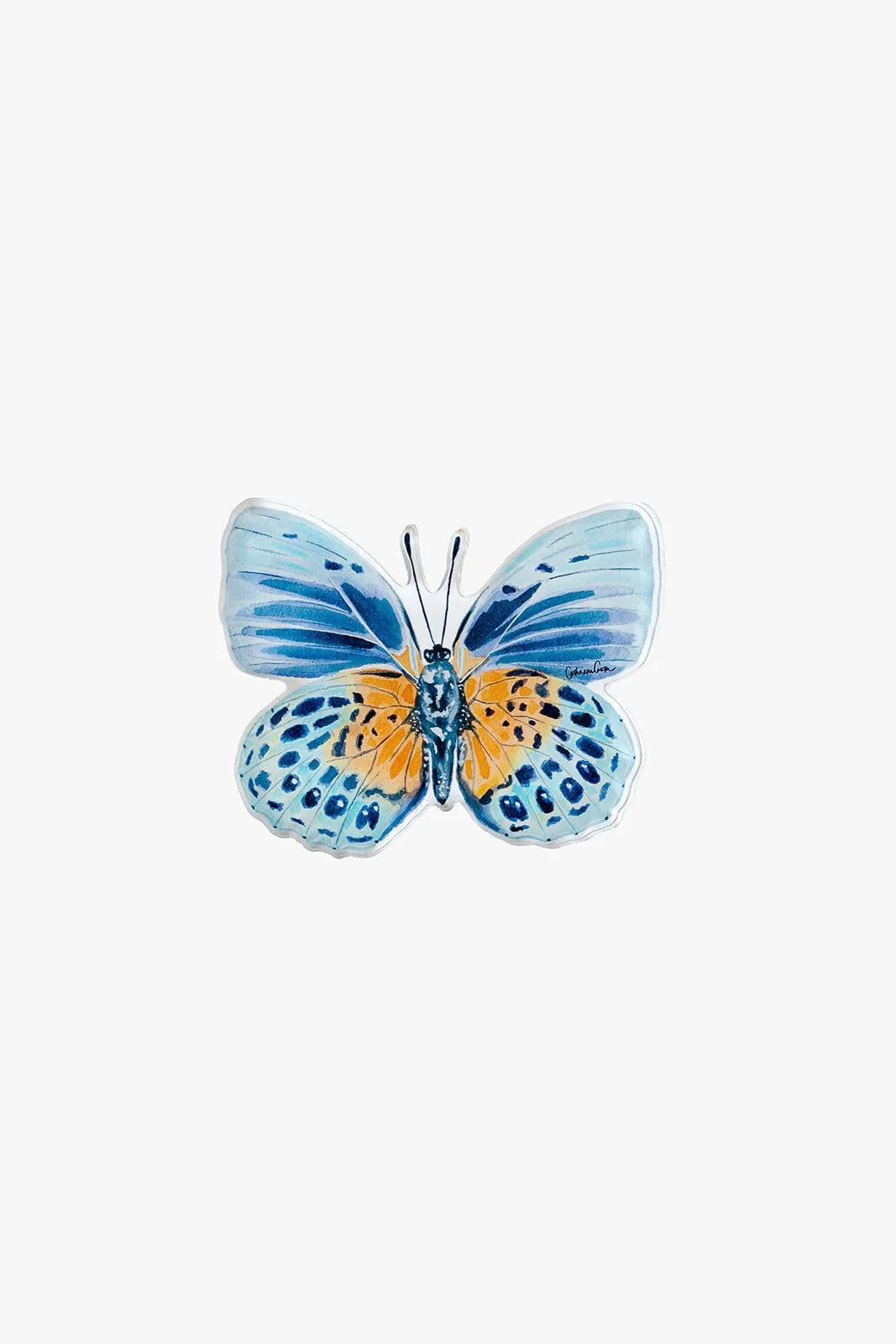 Autumn Blue Butterfly Acrylic Art Block Large