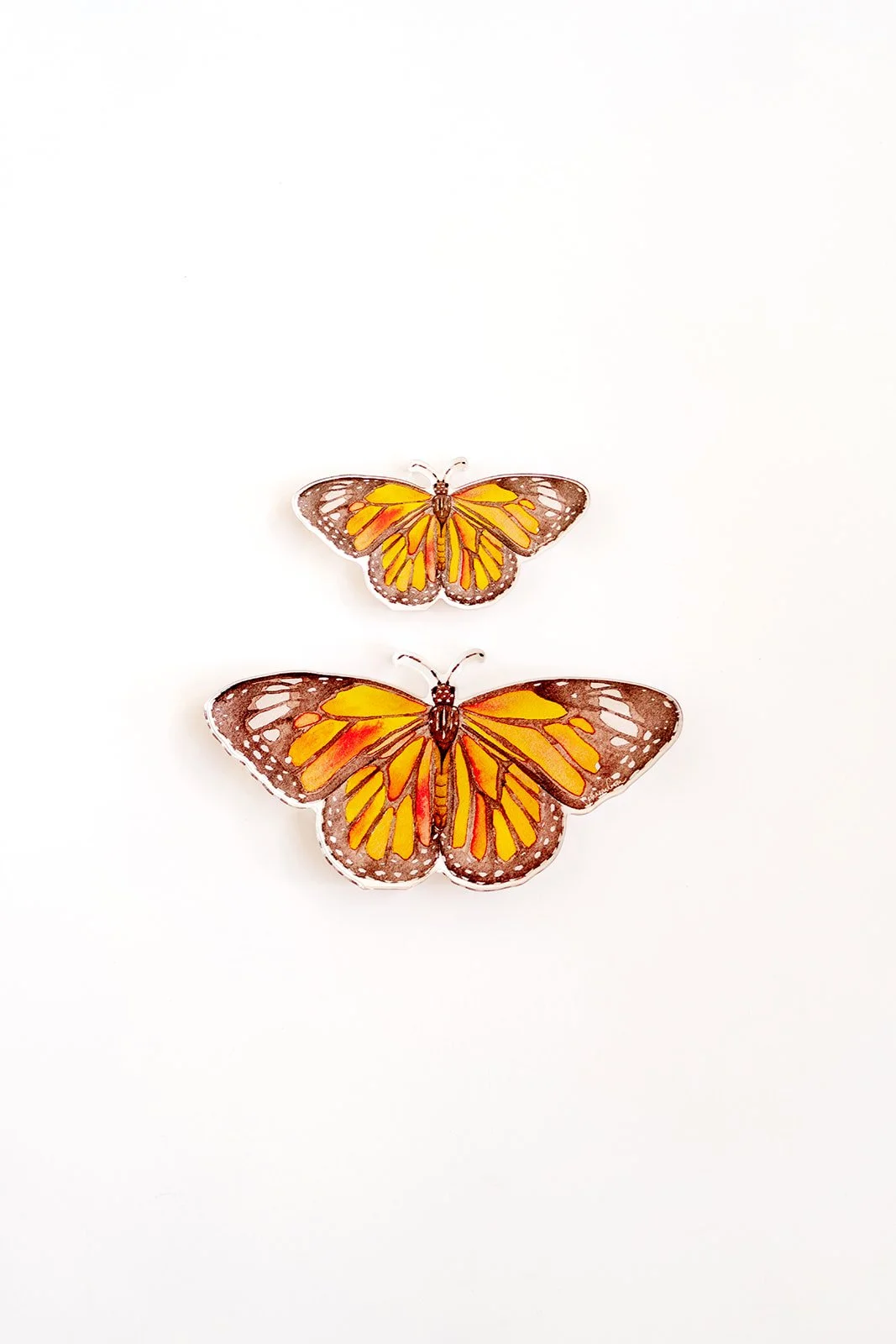 Catherine_Cartie_Butterfly_Acrylics_26.jpg