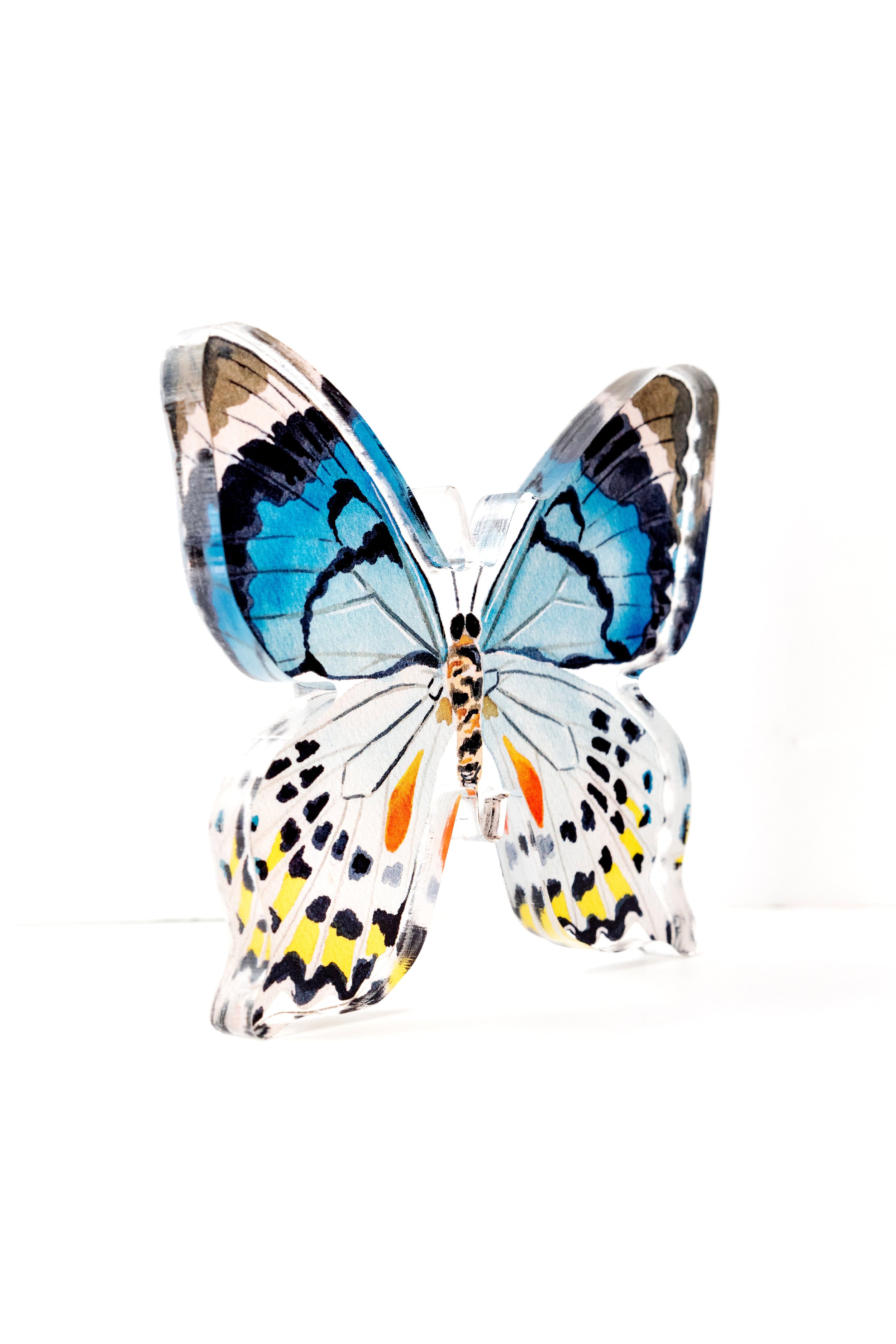 catherine-cartie-acrylic-butterflies-14.jpg