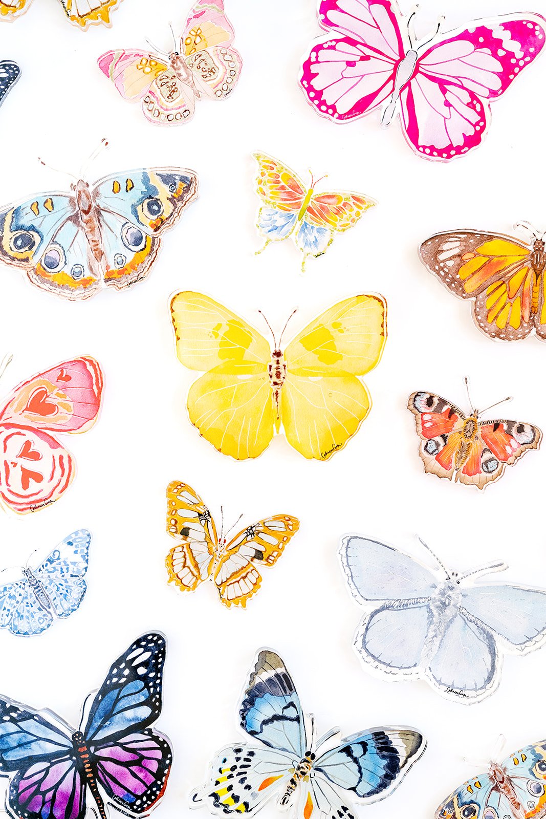 Catherine_Cartie_Butterfly_Acrylics_07.jpg