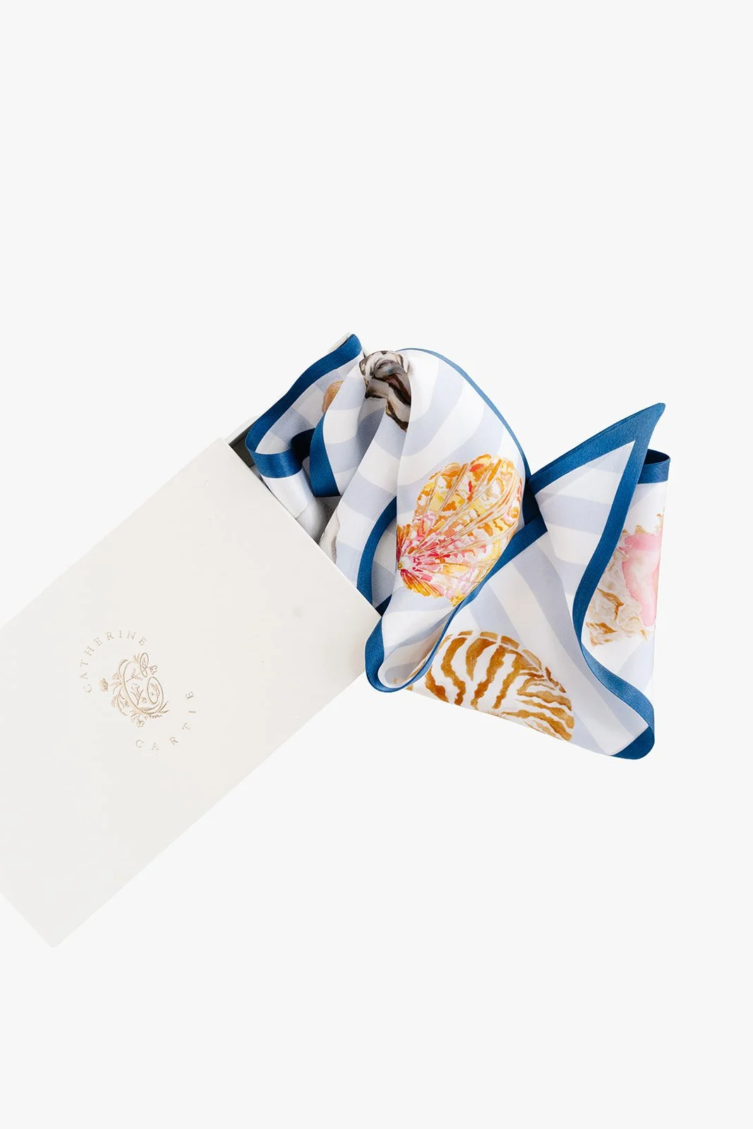 Catherine Cartie Seashells 6.jpg