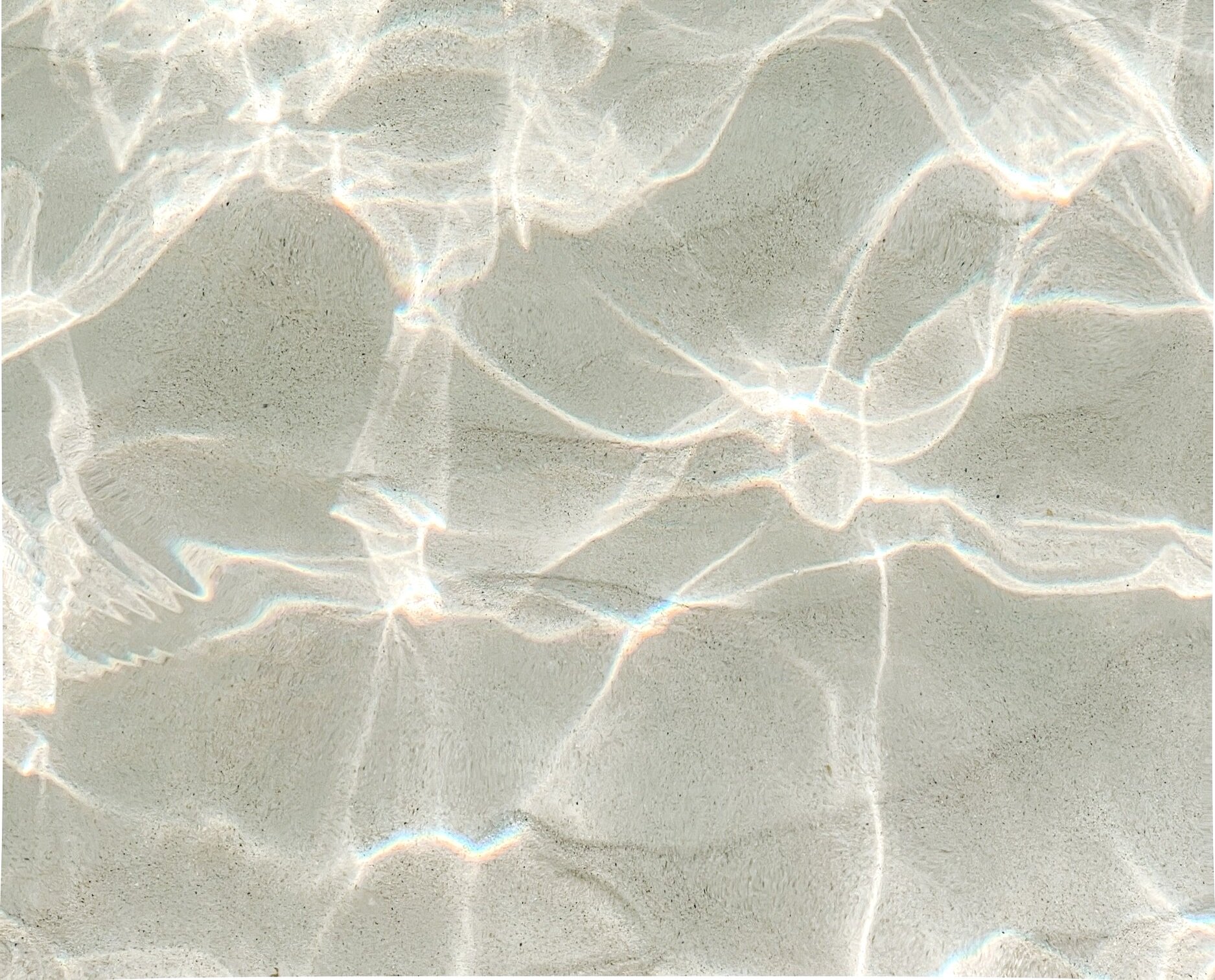 image-asset.jpg