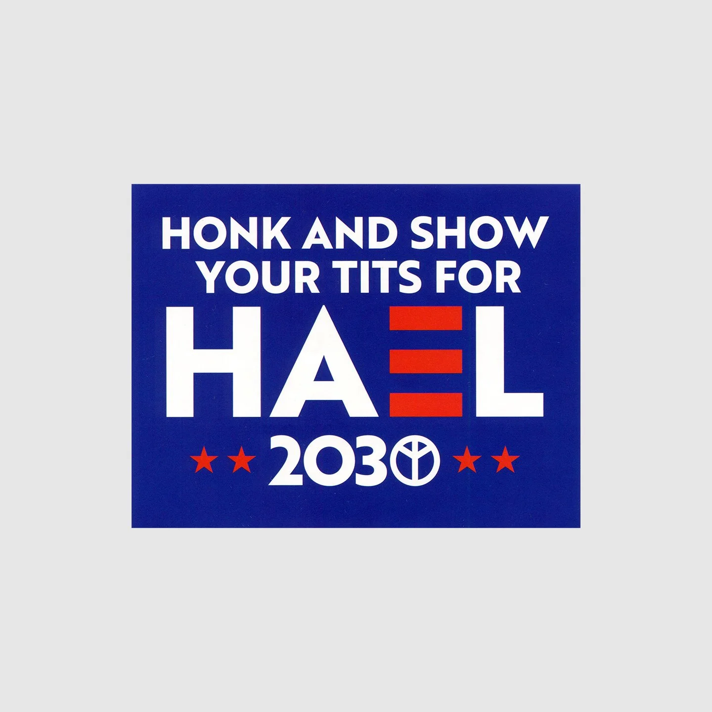 Hael - 2030 Election