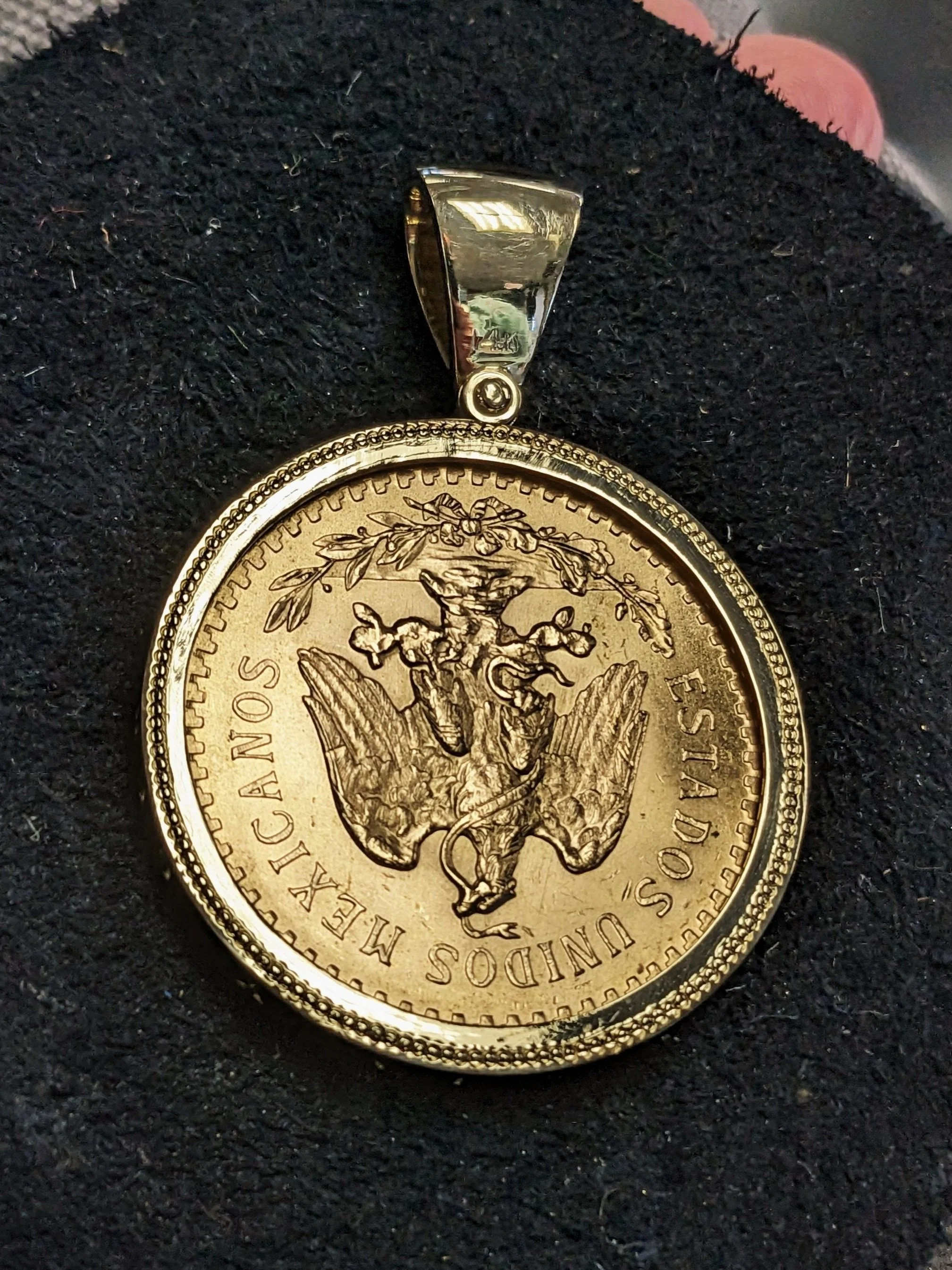 PXL_20231117_233707498.jpg