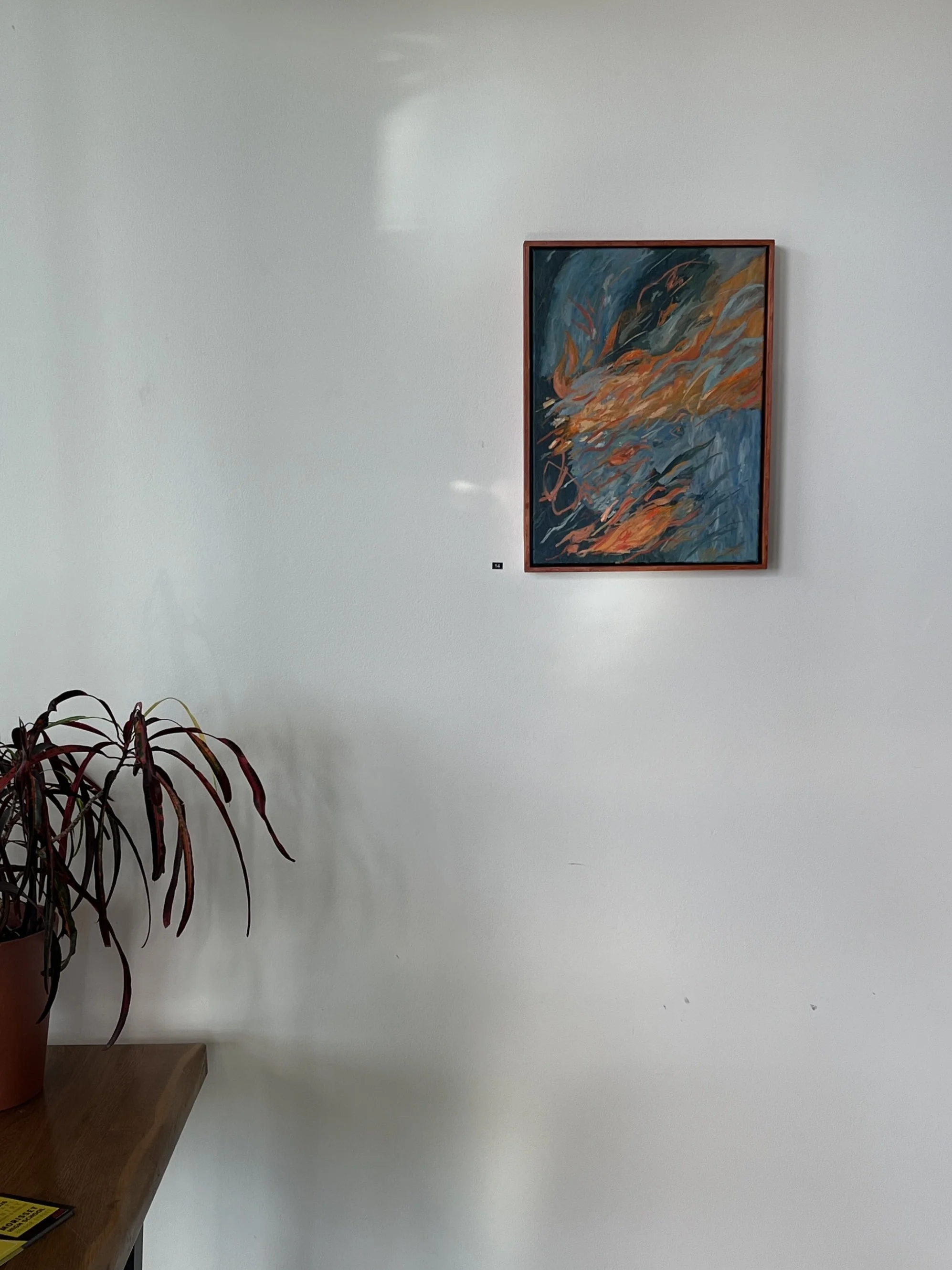 B5194AA9-37B6-4A40-ADDF-D3D72D821F3A.jpeg
