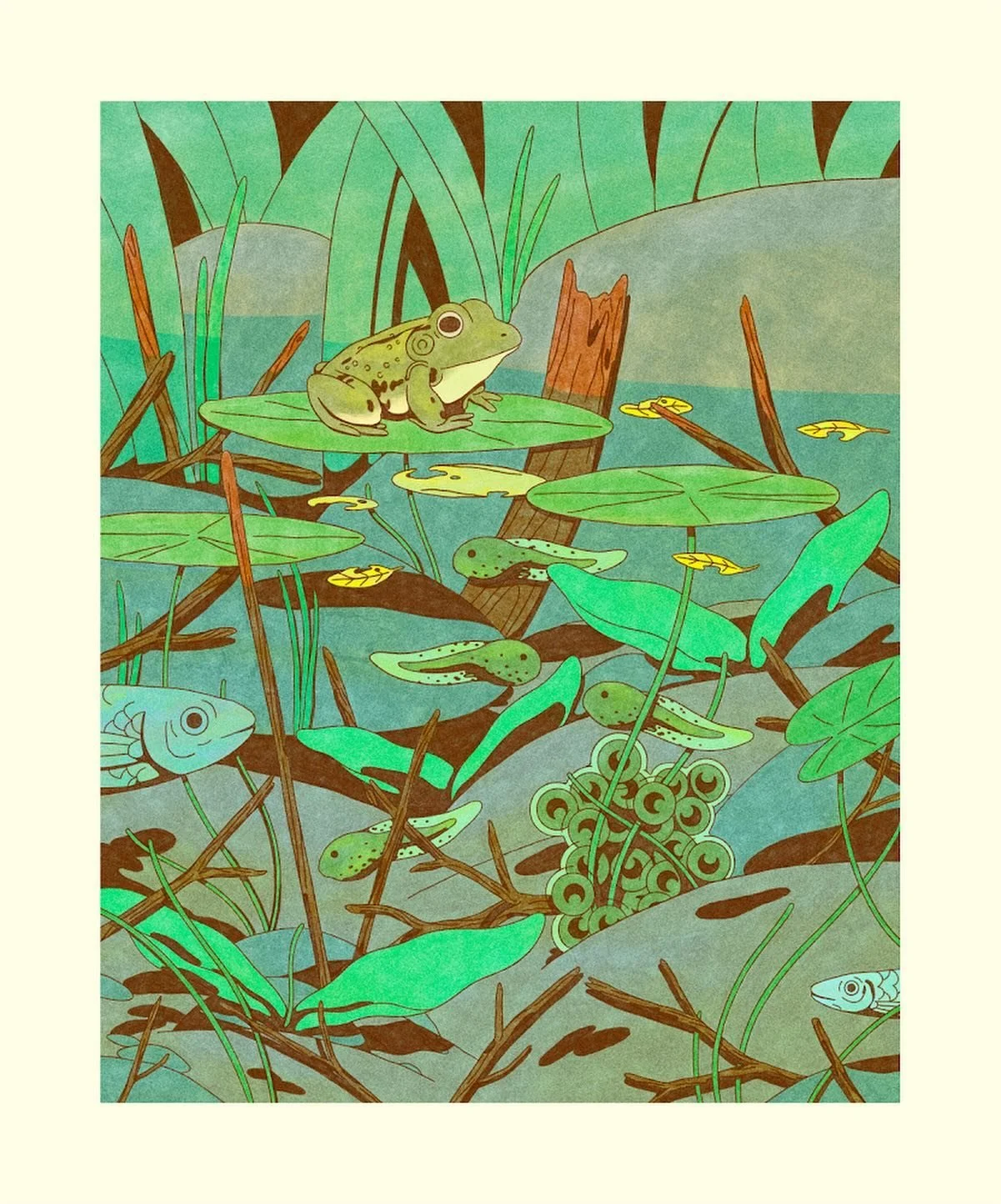 A lil illustration of a frogs lifecycle. 🐸

I&rsquo;ve been thinking a lot about how my environment impacts the ways in which I&rsquo;ve grown and how much agency I have in that change. Sometimes it feels so far out of my control and that I need to 