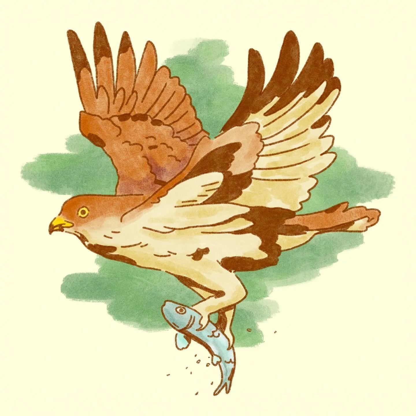 Gone fishing🎣

#fishing #birding #hawk #fish #thegreatoutdoors #digitalillustration #procreate #drawingbirds #birdsforever