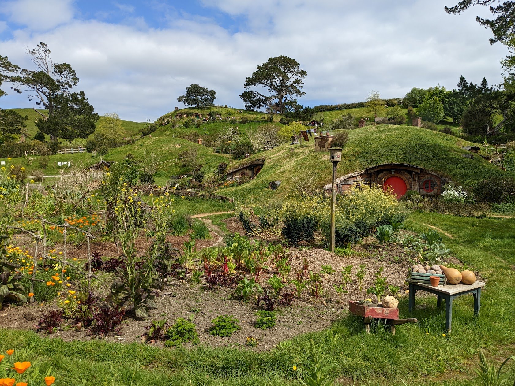 New Zealand