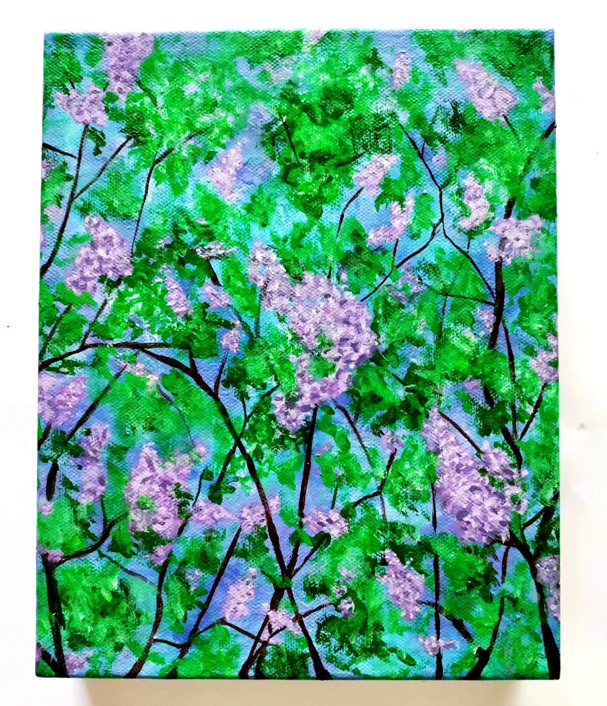 Lilacs in Bloom
