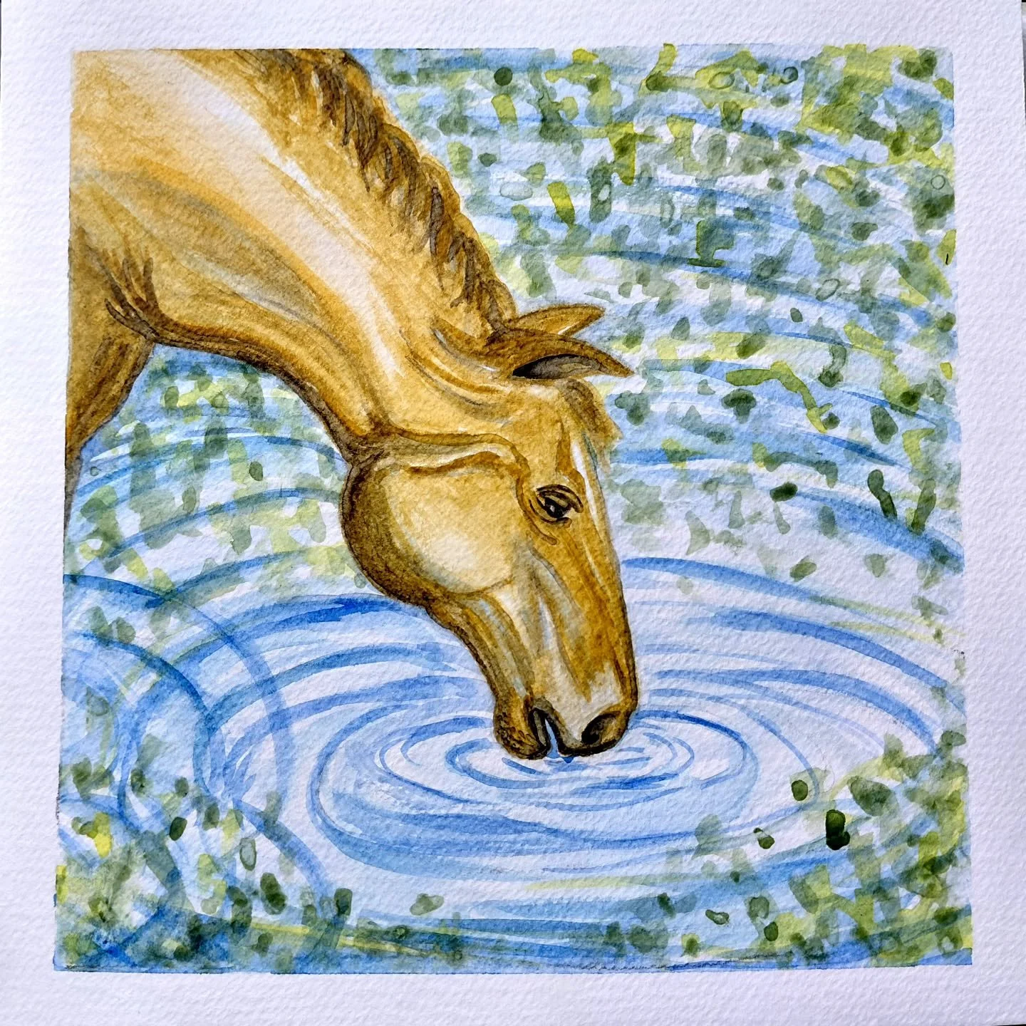a peaceful moment