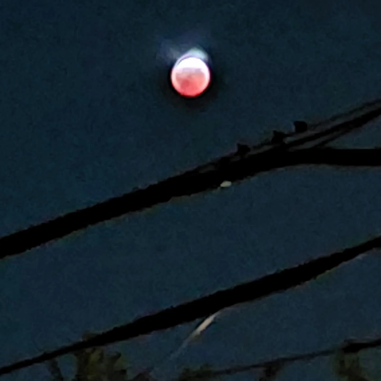 why do people point their shitty phone cameras at the cosmos hoping to capture an ounce of the actual awe? 
(asking for a friend)