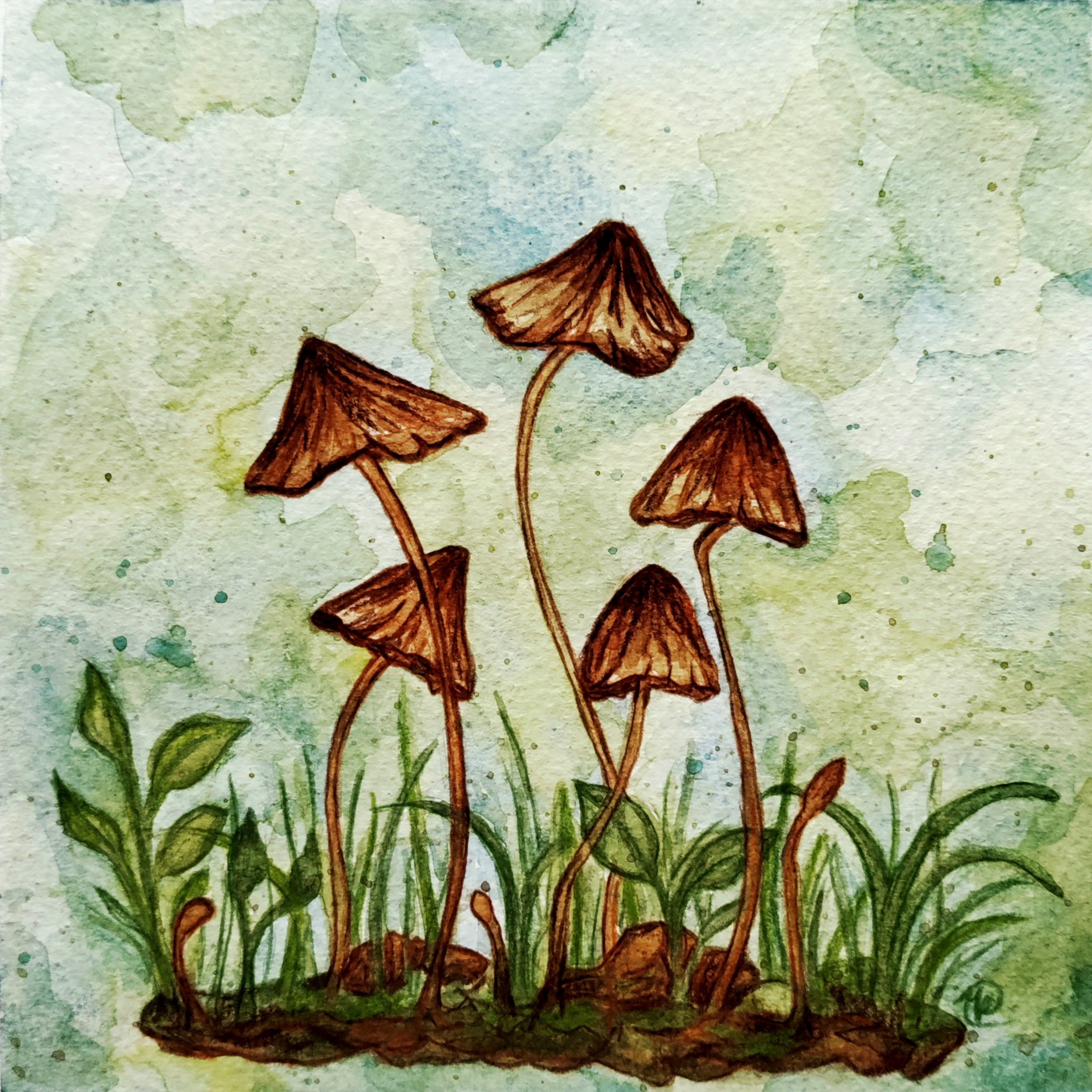 Mushroom Bunch