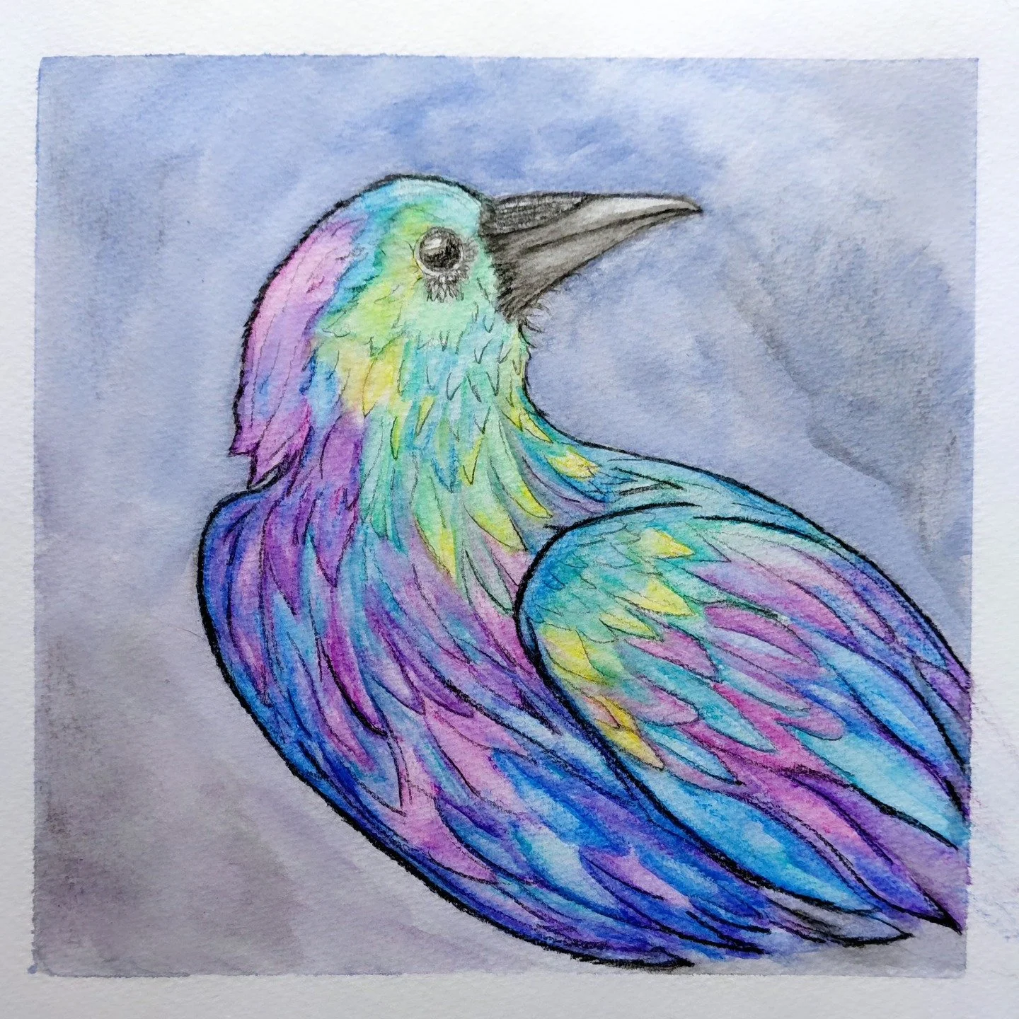 Rainbow Crow