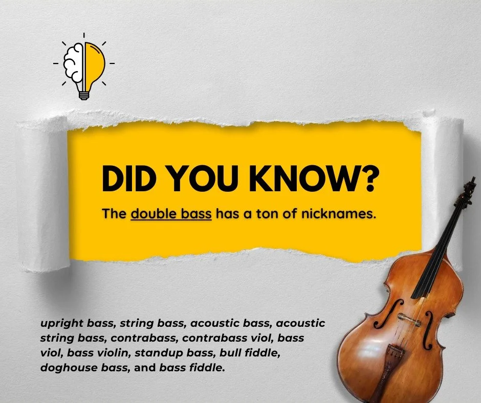 double bass nicknames.jpg