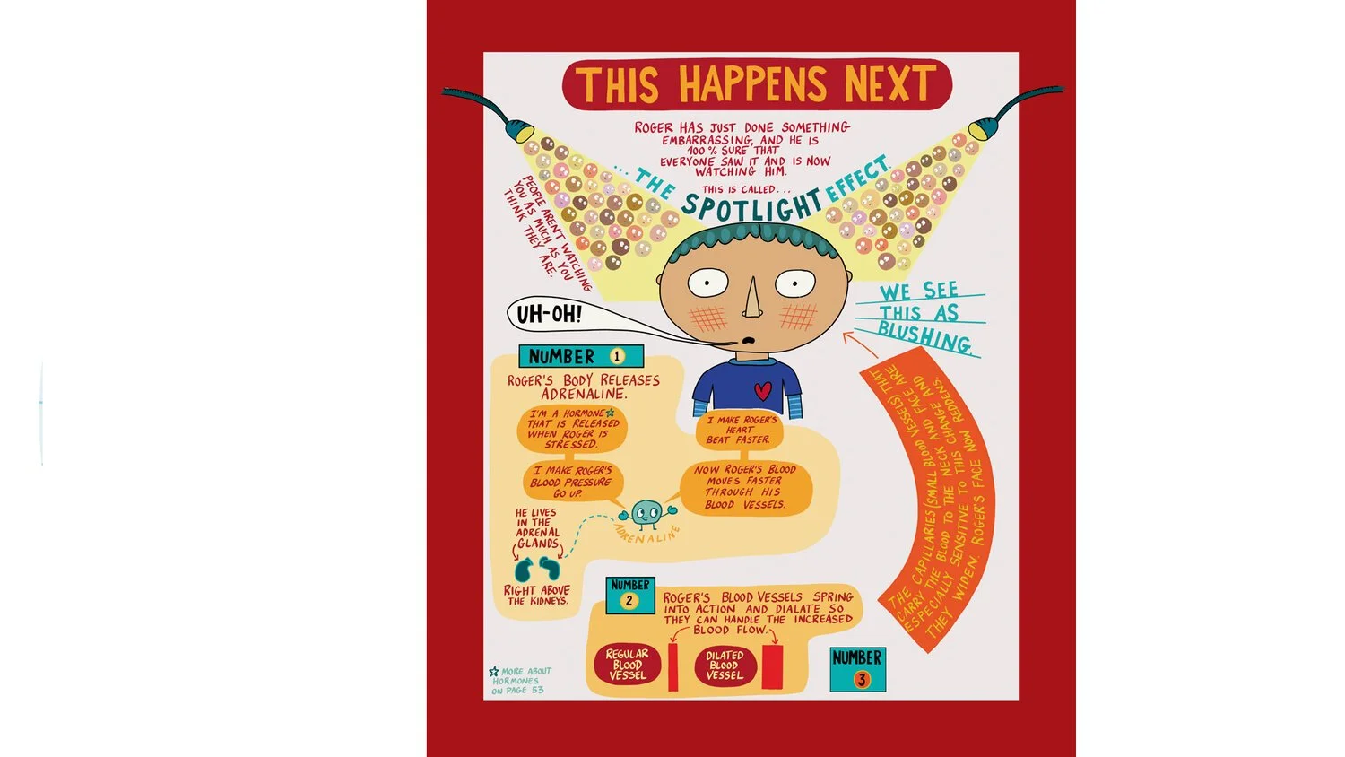 Infographic showing the spotlight effect, depicting a person blushing due to embarrassment. Highlights stress response: adrenaline release, increased heart rate, and blood vessel dilation, causing blushing. Includes text and illustrations of physical processes.