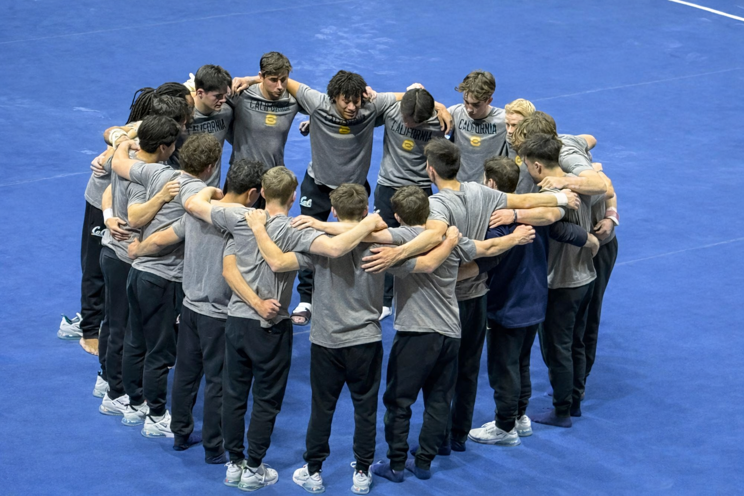 Men’s NCAA Gymnastics Weeks 10/11 Snapshot